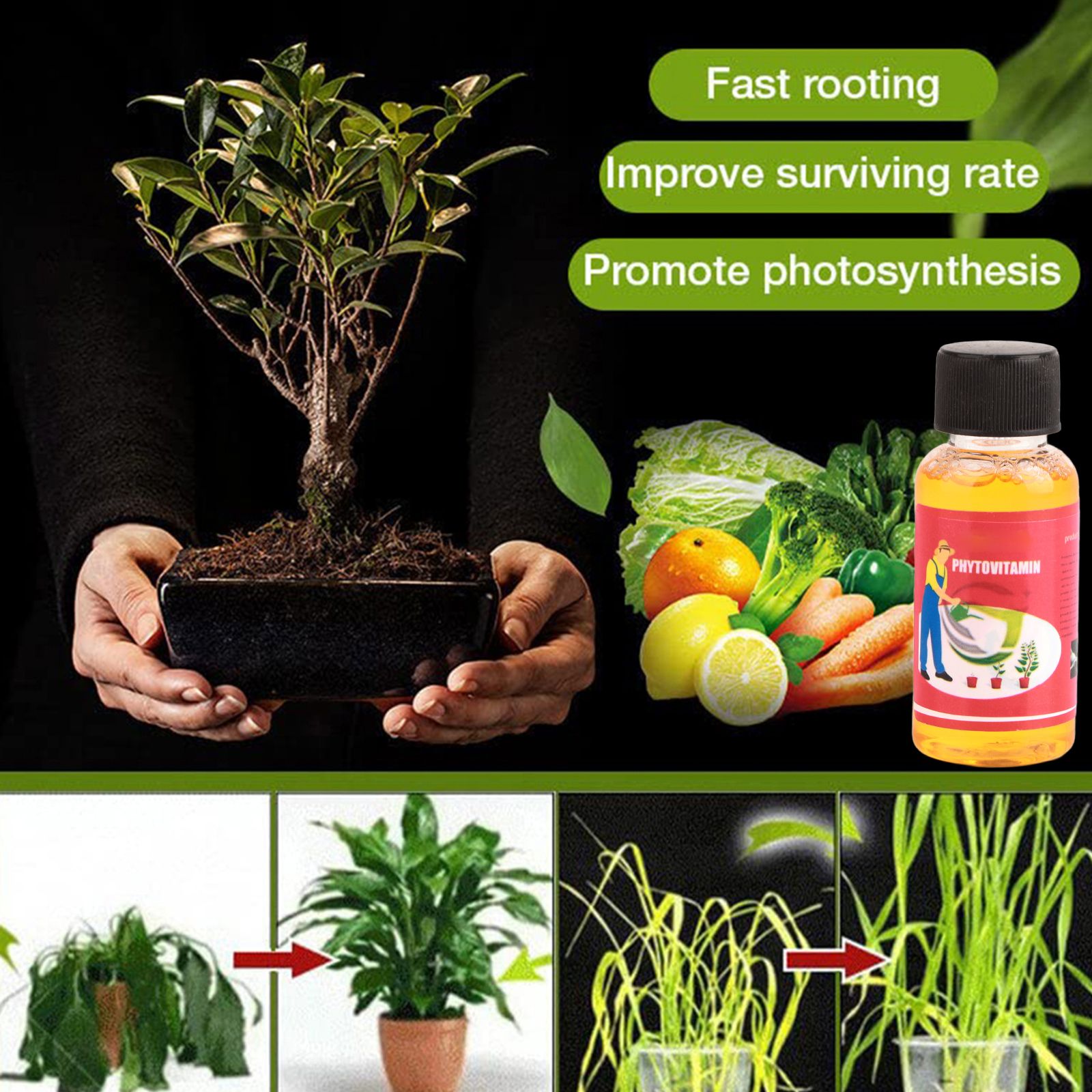 Household Plant Rooting Energizer Activates Fast Rooting Plant Nutrient view 9
