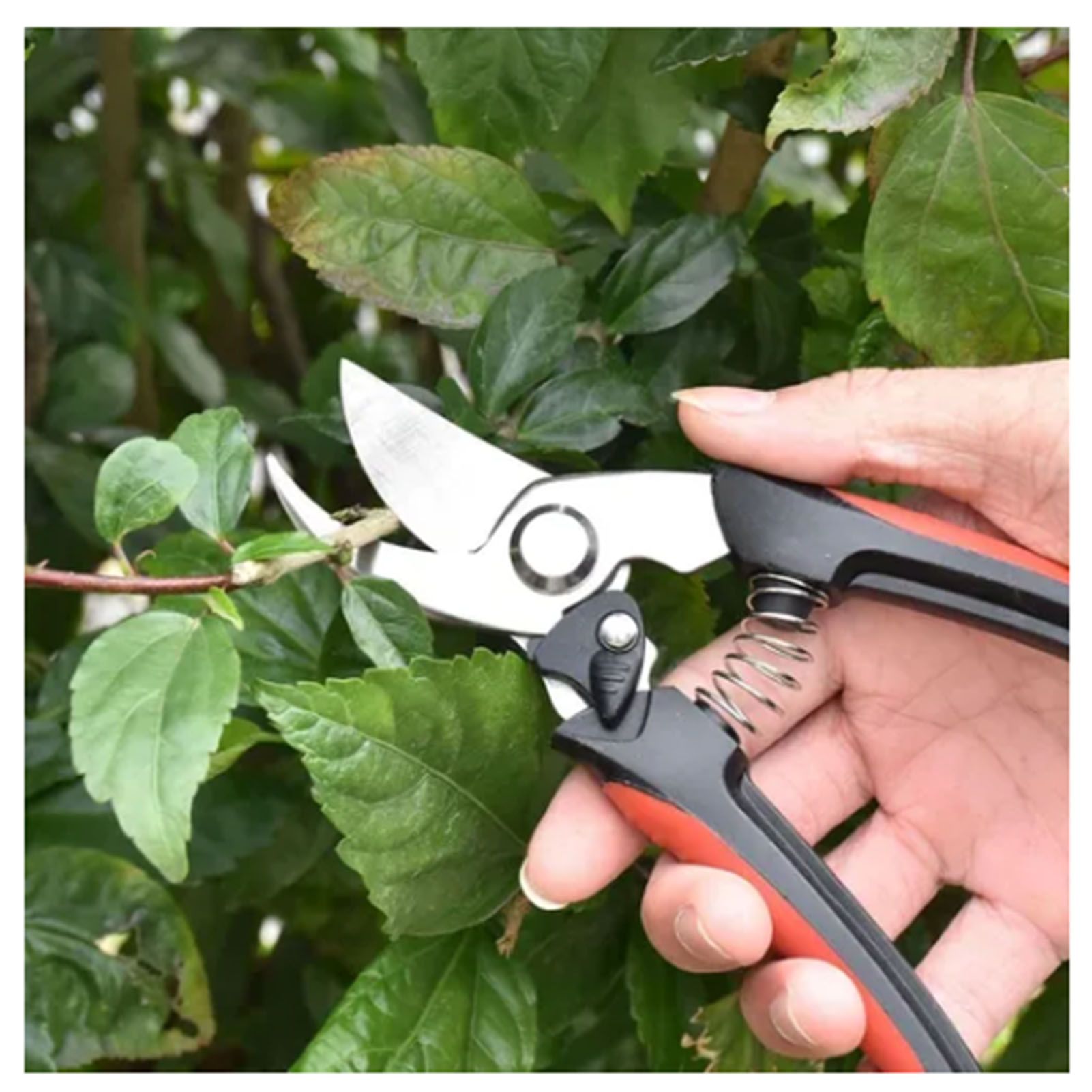 2Pcs Garden Pruning Shears Labor Saving Fruit Tree Thick Branch Pruning Shears view 6