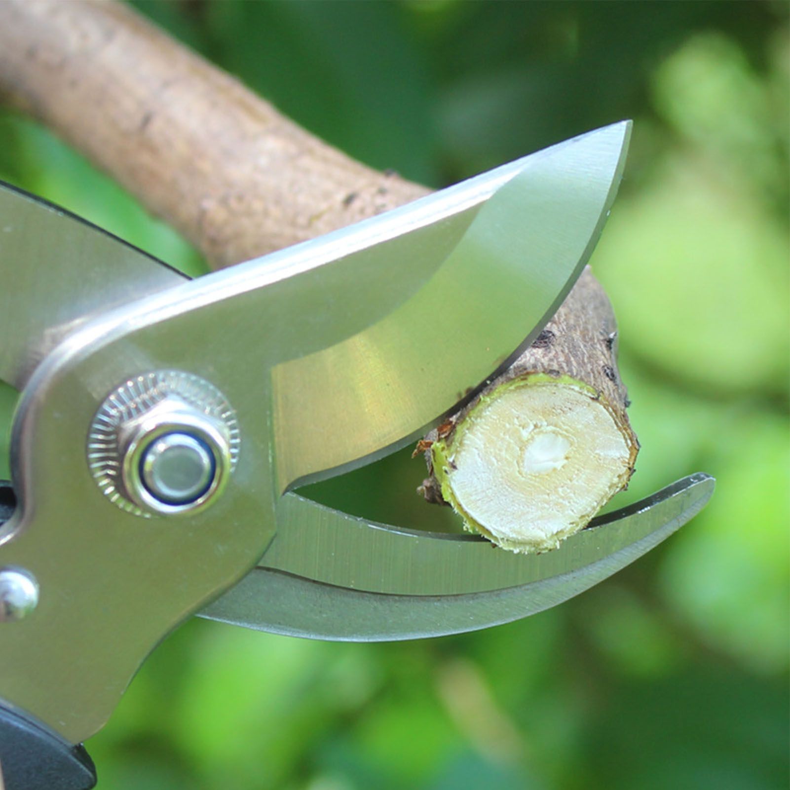 2Pcs Garden Pruning Shears Labor Saving Fruit Tree Thick Branch Pruning Shears view 8