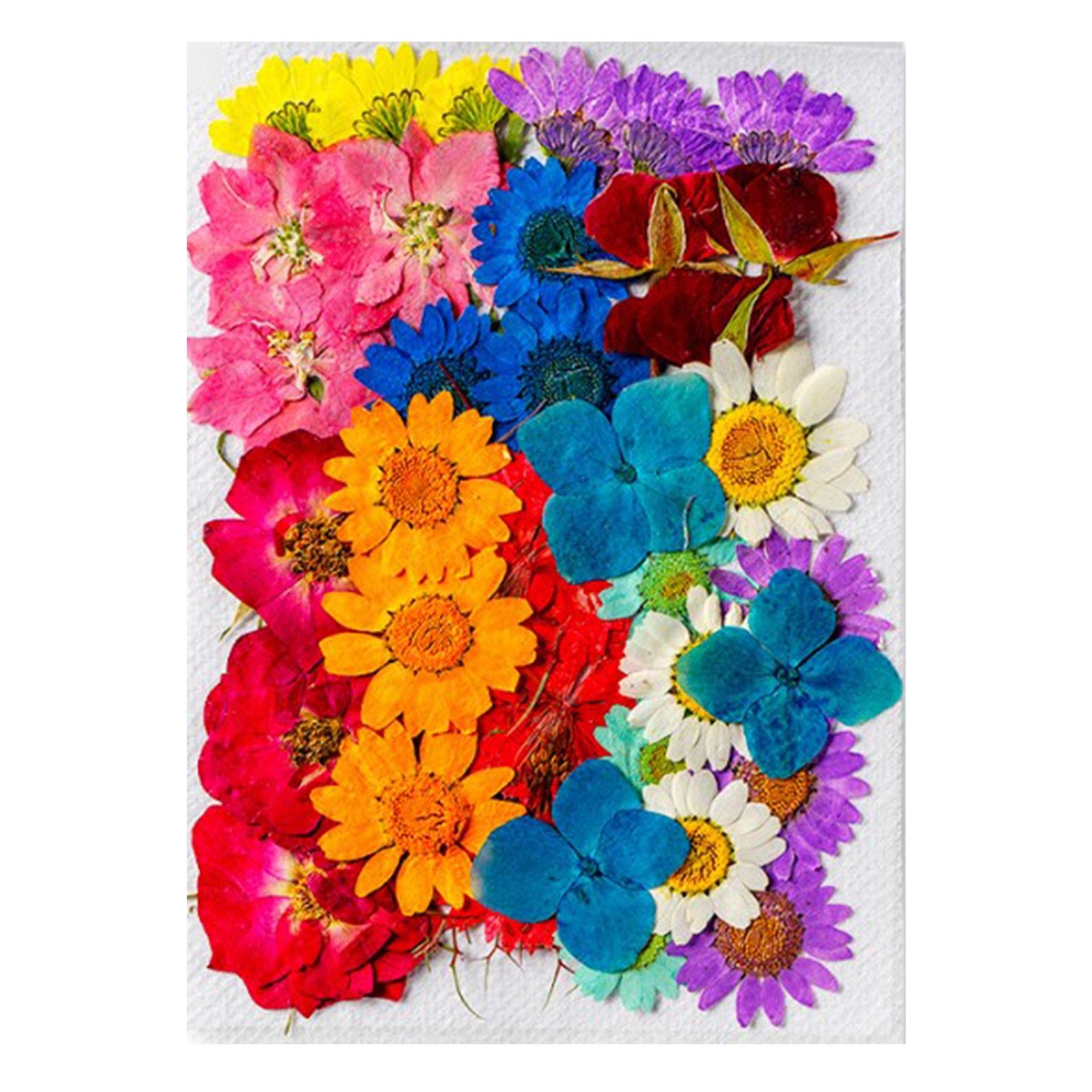 36Pcs Dried Flowers Assorted Styles Colors Natural Material Multipurpose Dried — image 1