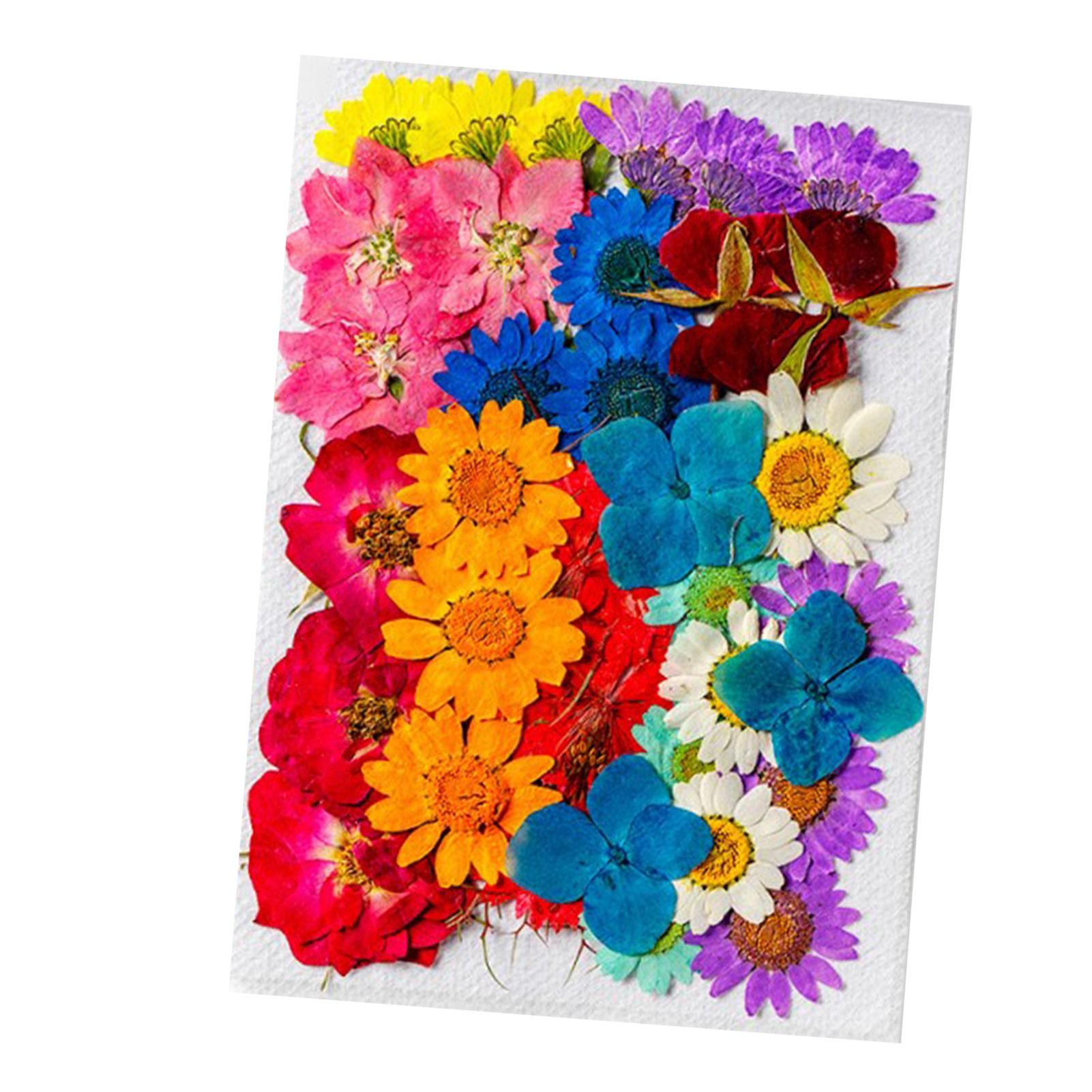 36Pcs Dried Flowers Assorted Styles Colors Natural Material Multipurpose Dried view 2