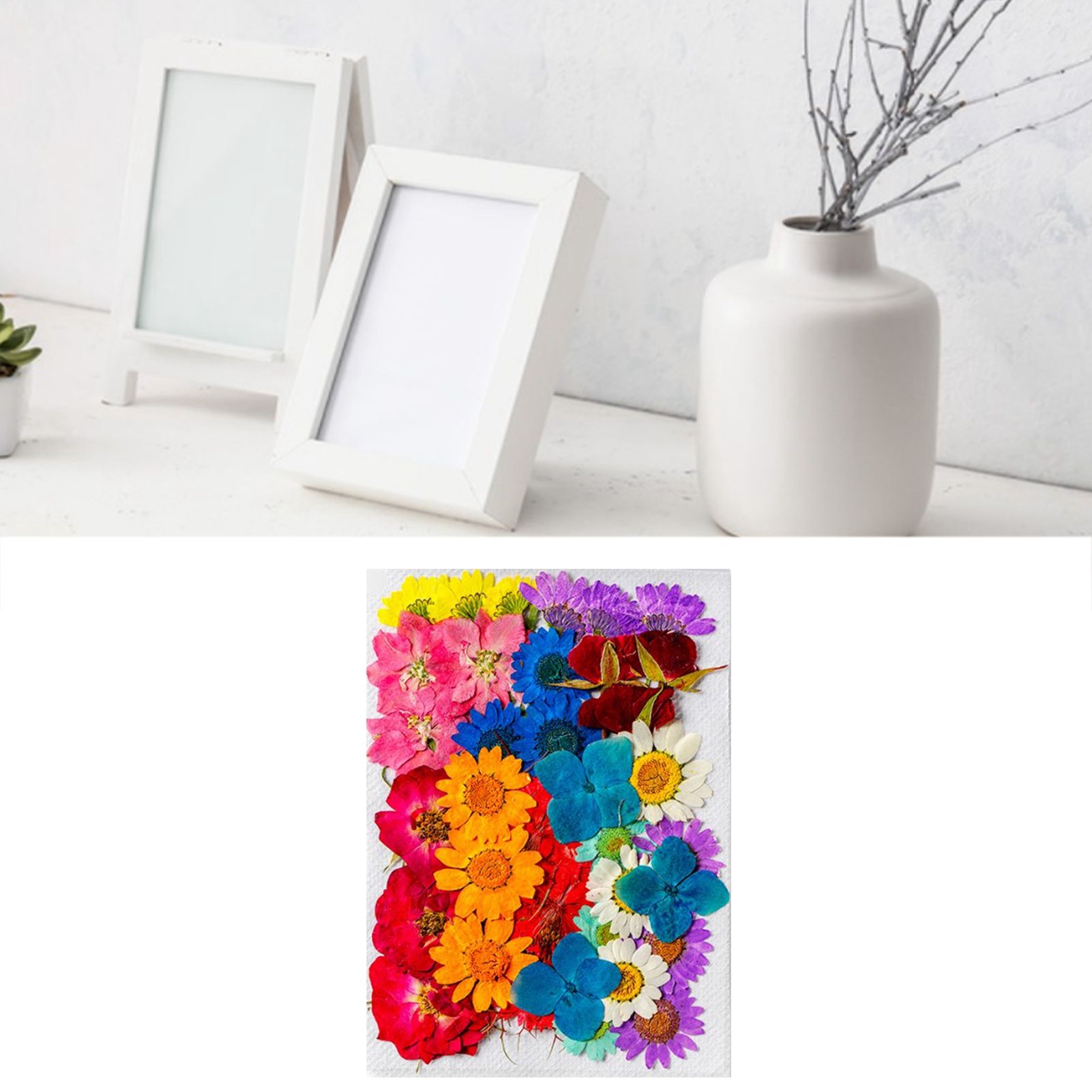 36Pcs Dried Flowers Assorted Styles Colors Natural Material Multipurpose Dried view 5