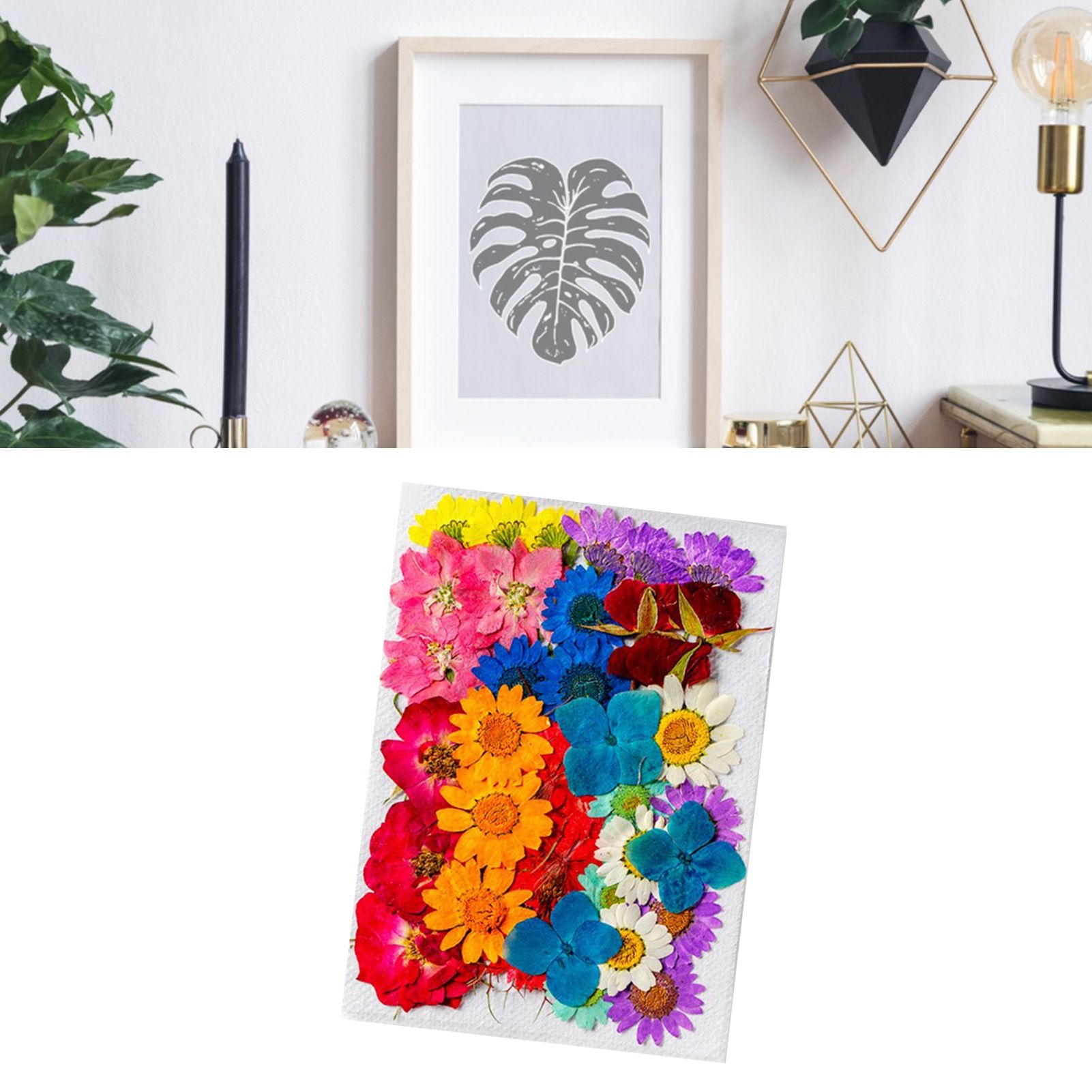 36Pcs Dried Flowers Assorted Styles Colors Natural Material Multipurpose Dried view 6
