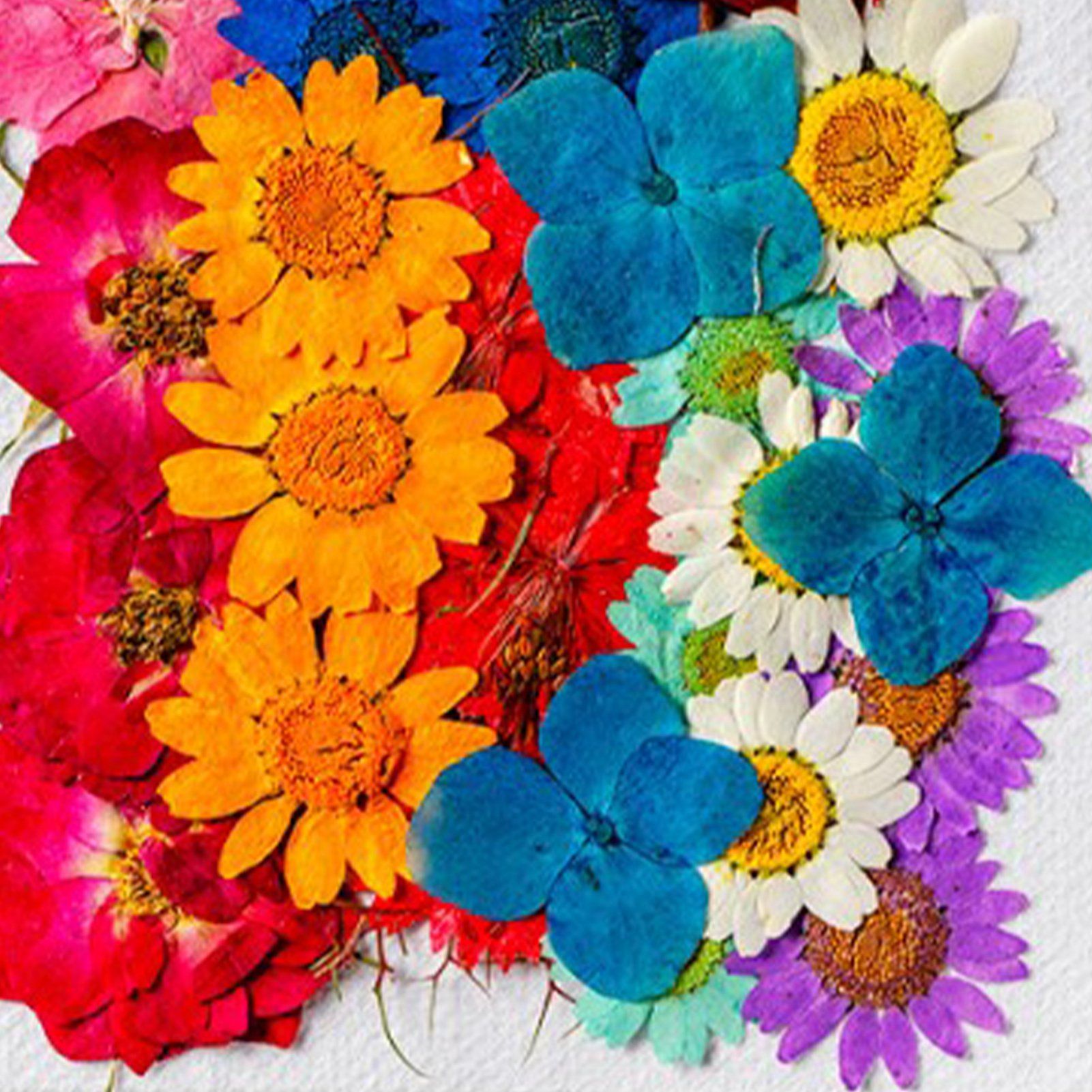 36Pcs Dried Flowers Assorted Styles Colors Natural Material Multipurpose Dried view 8