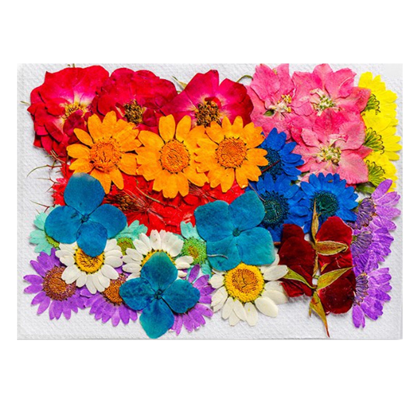 36Pcs Dried Flowers Assorted Styles Colors Natural Material Multipurpose Dried view 12