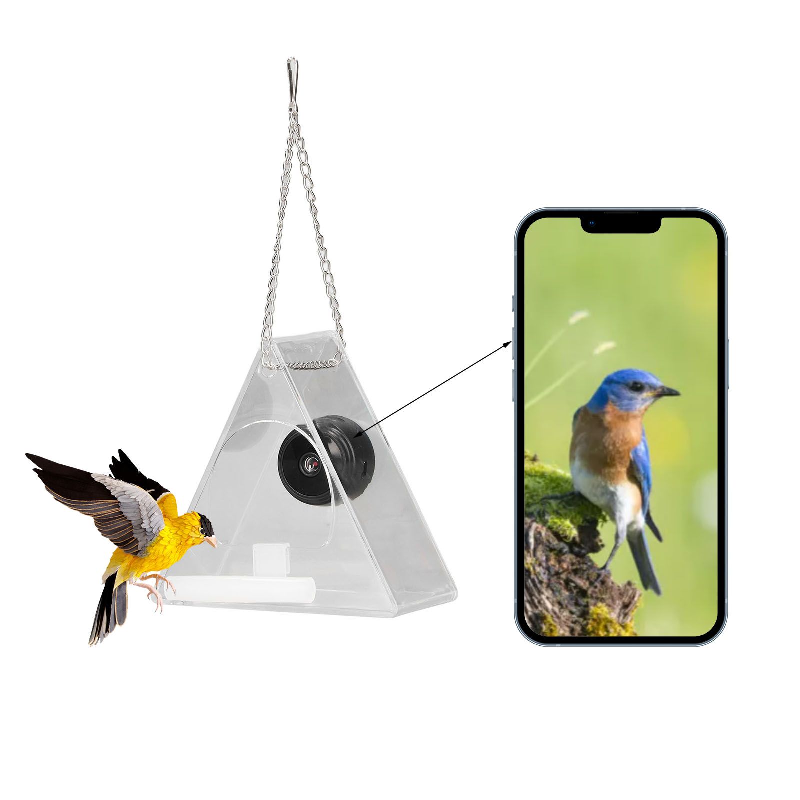 Smart Camera Bird Feeder Real Time Monitoring Hanging Bird Feeders for view 12