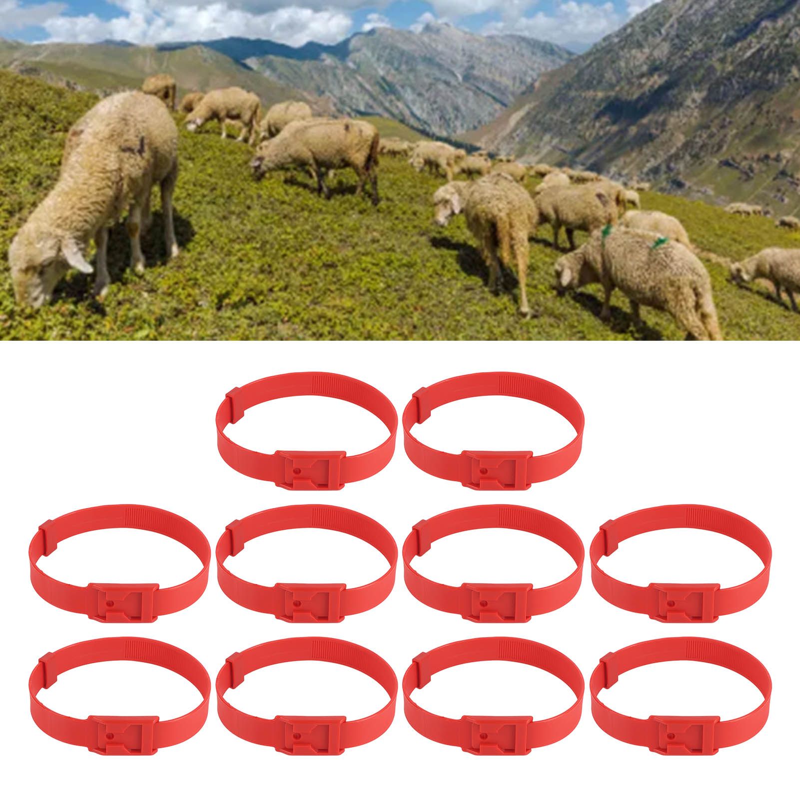 10PCS Goat Collar PU 23 Inch Adjustable Livestock Collar for Farm Animal Cow view 12