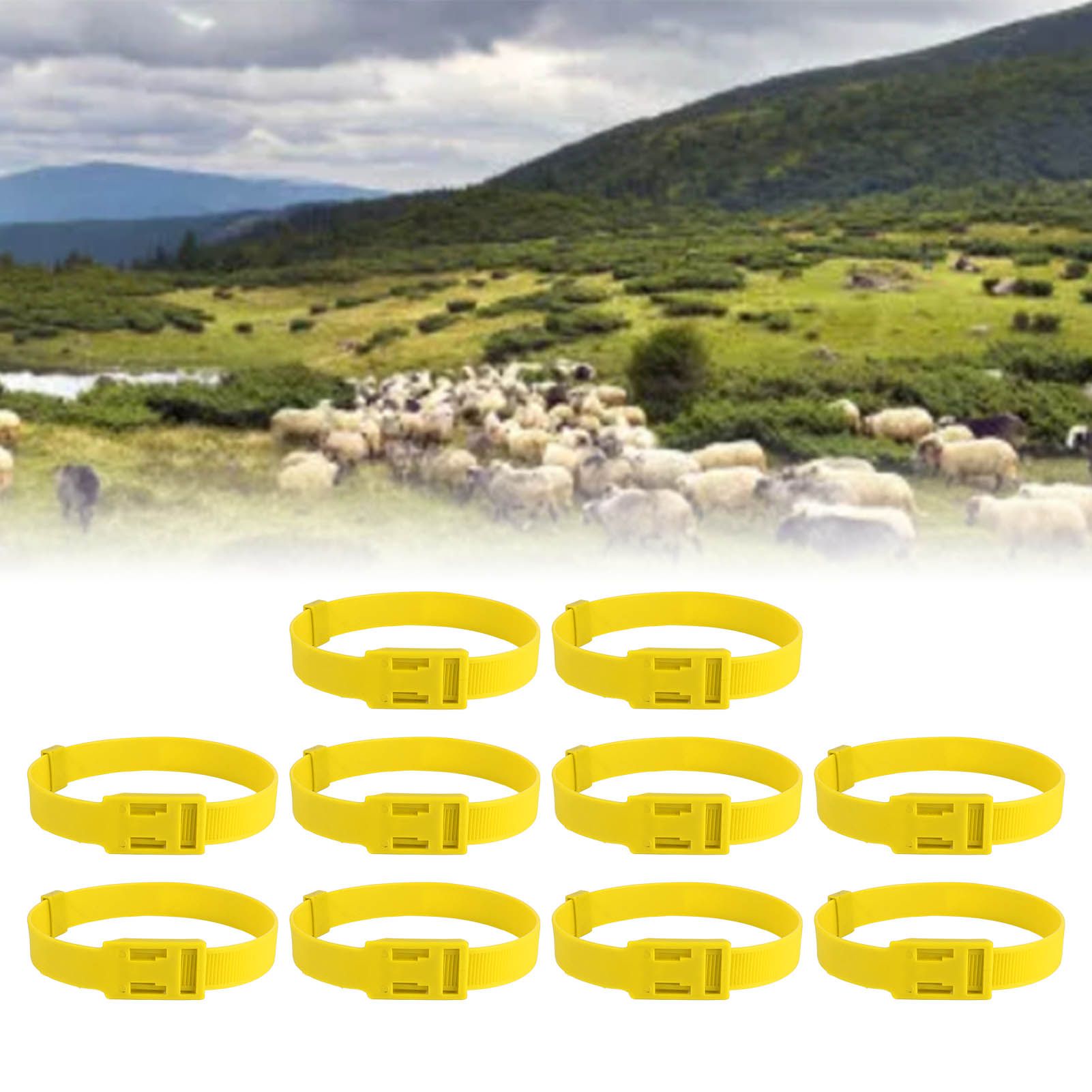10PCS Goat Collar PU 23 Inch Adjustable Livestock Collar for Farm Animal Cow view 11