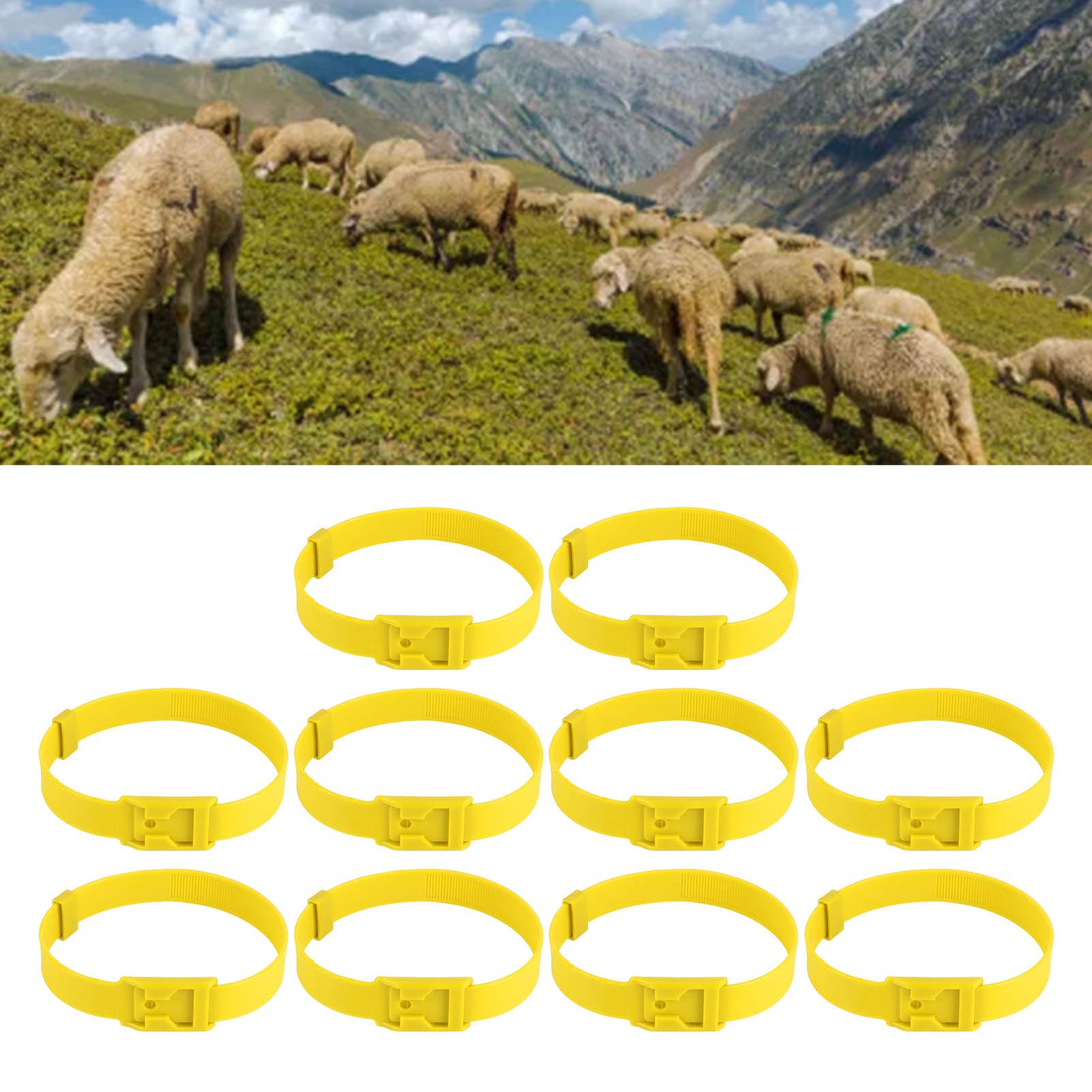 10PCS Goat Collar PU 23 Inch Adjustable Livestock Collar for Farm Animal Cow view 12
