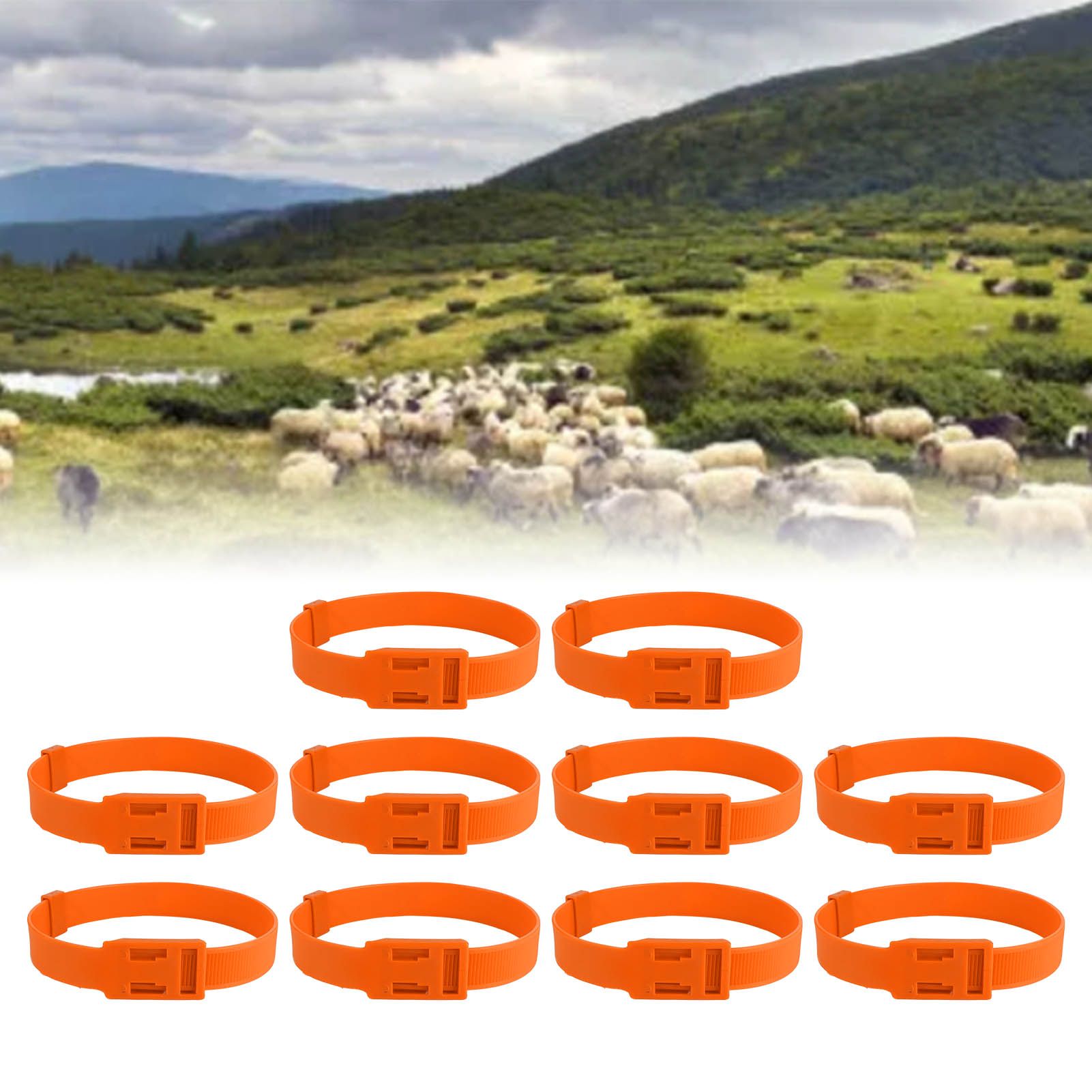 10PCS Goat Collar PU 23 Inch Adjustable Livestock Collar for Farm Animal Cow view 11