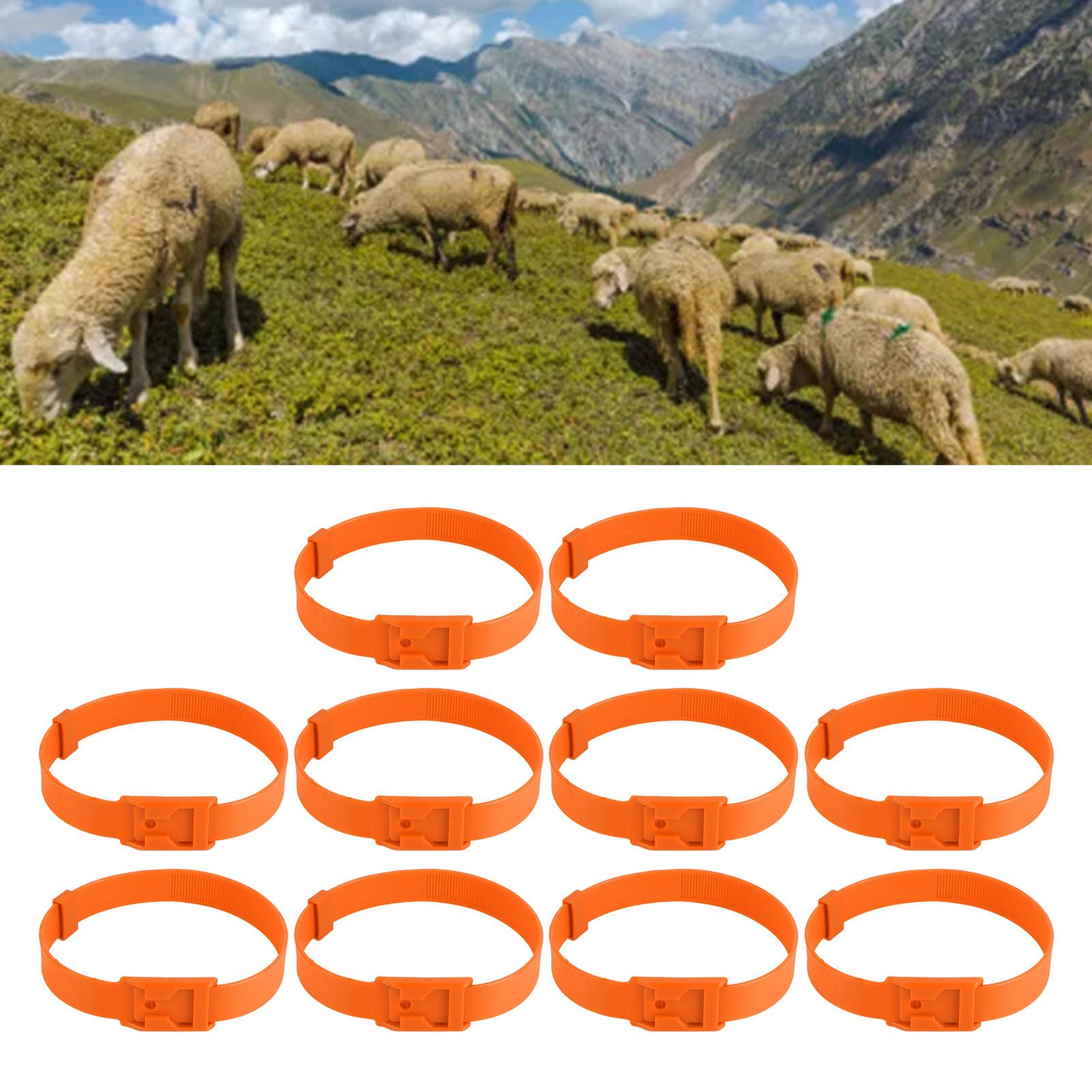 10PCS Goat Collar PU 23 Inch Adjustable Livestock Collar for Farm Animal Cow view 12