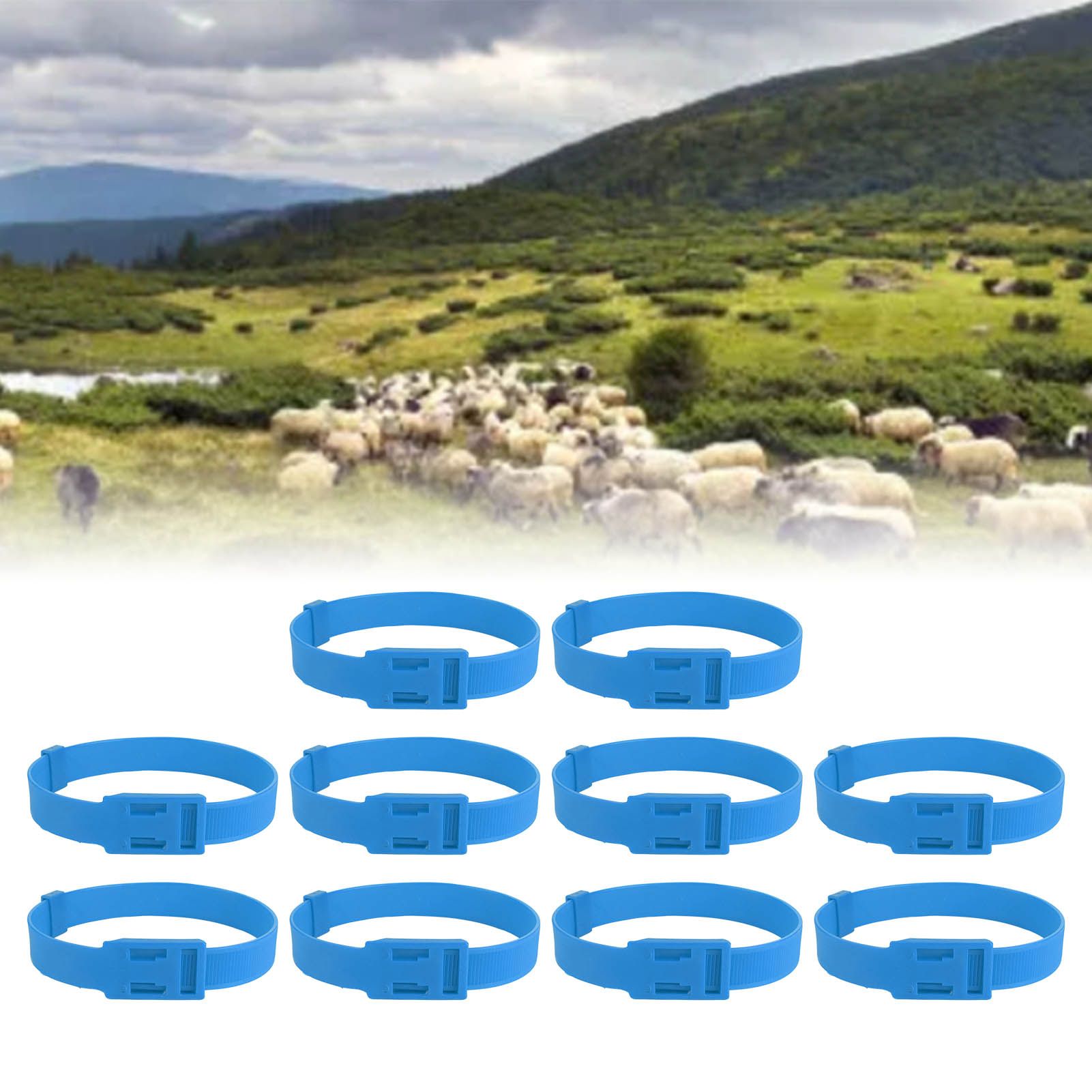 10PCS Goat Collar PU 23 Inch Adjustable Livestock Collar for Farm Animal Cow view 11