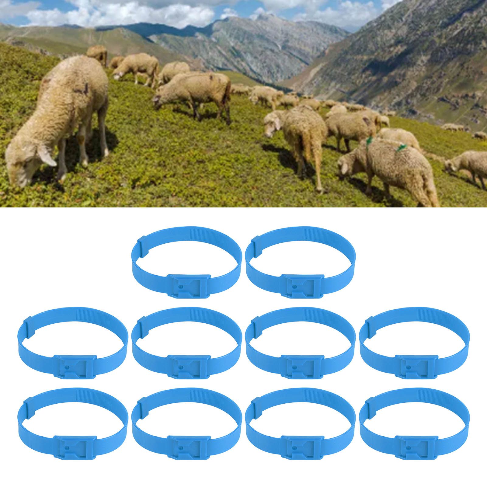 10PCS Goat Collar PU 23 Inch Adjustable Livestock Collar for Farm Animal Cow view 12