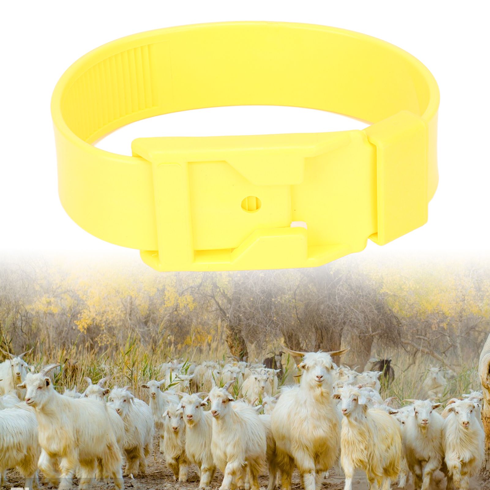 10Pcs Goat Collar Sheep Identification Bands Livestock Marking Ring Farming view 11