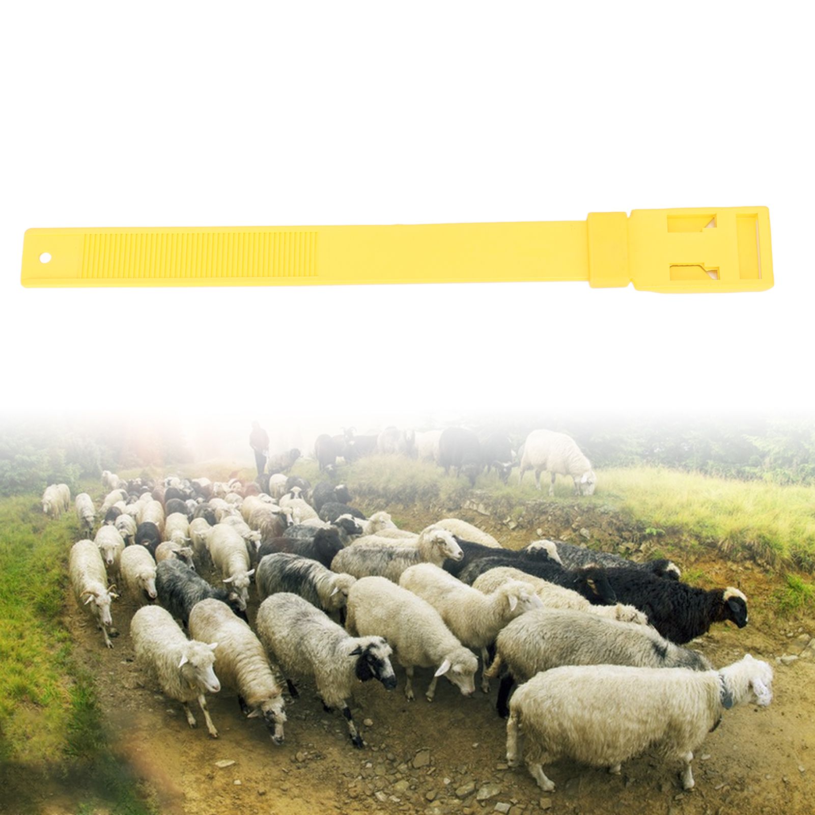 10Pcs Goat Collar Sheep Identification Bands Livestock Marking Ring Farming view 12