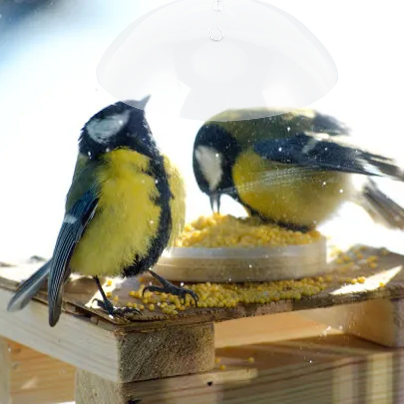 Bird Feeders Protective Cover Prevent Squirrel Clear Bird Feeder Protective view 11