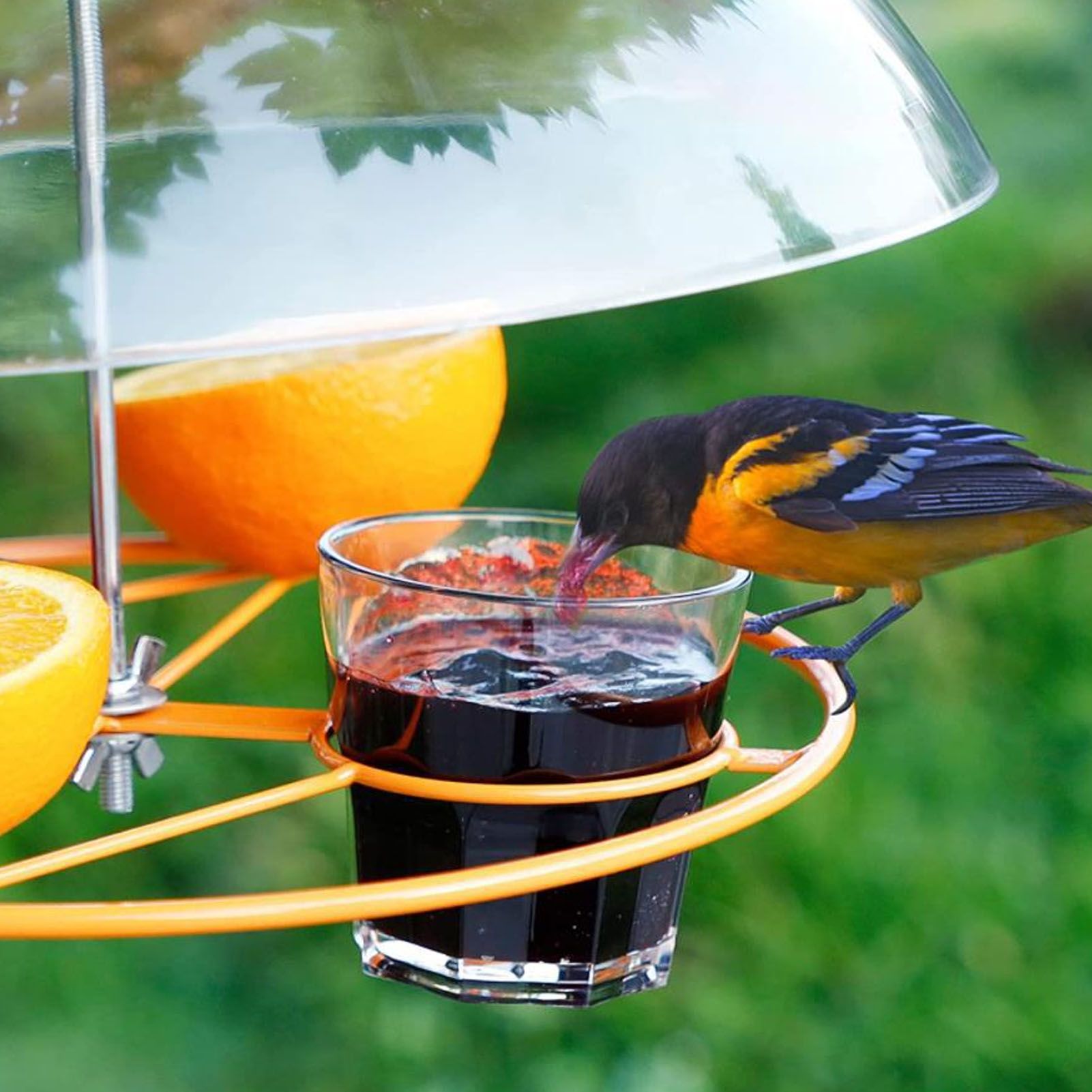 Bird Feeders Protective Cover Prevent Squirrel Clear Bird Feeder Protective view 12