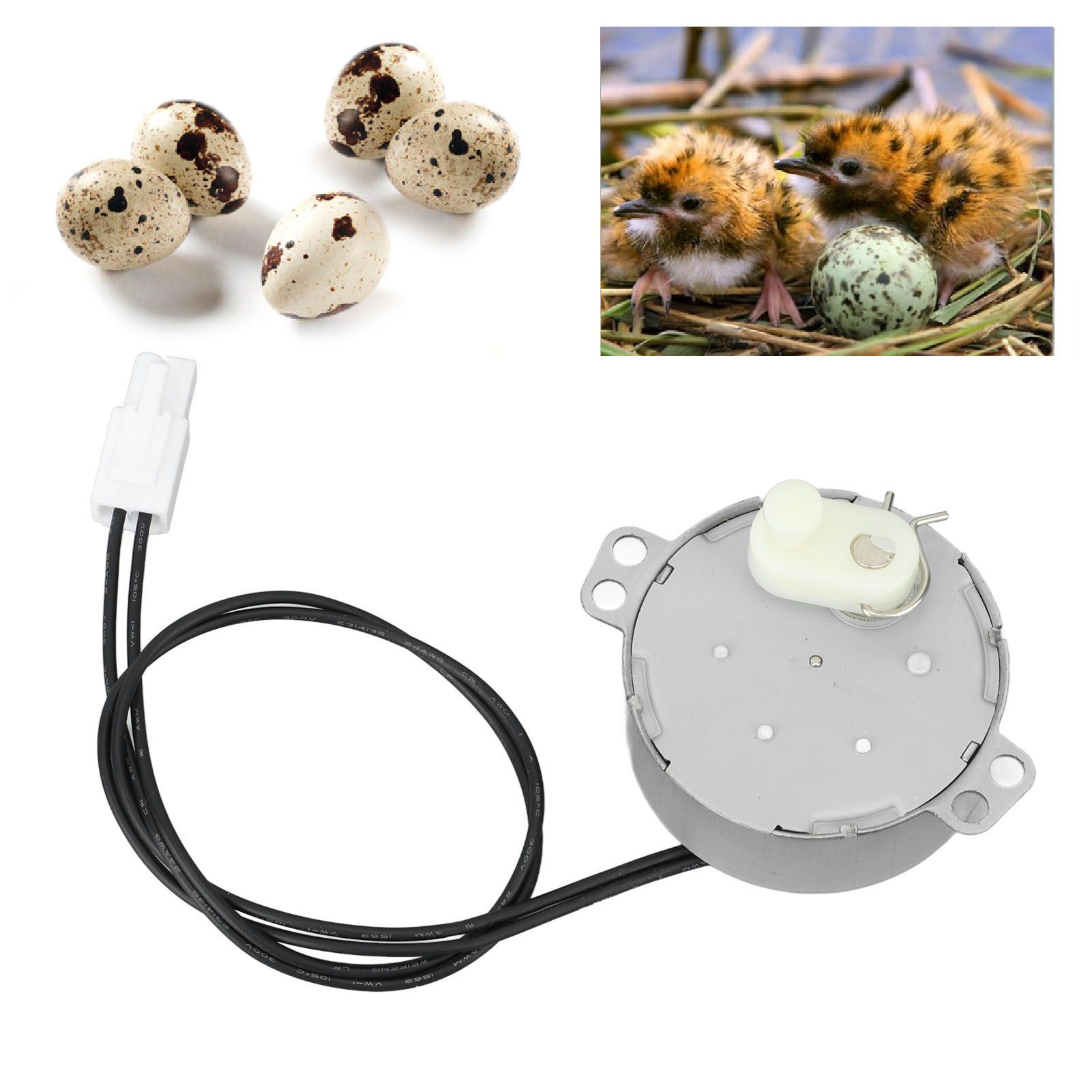 Egg Turnner Motor 4W Egg Turner Rotator Incubator Motor for Chickens Ducks view 12