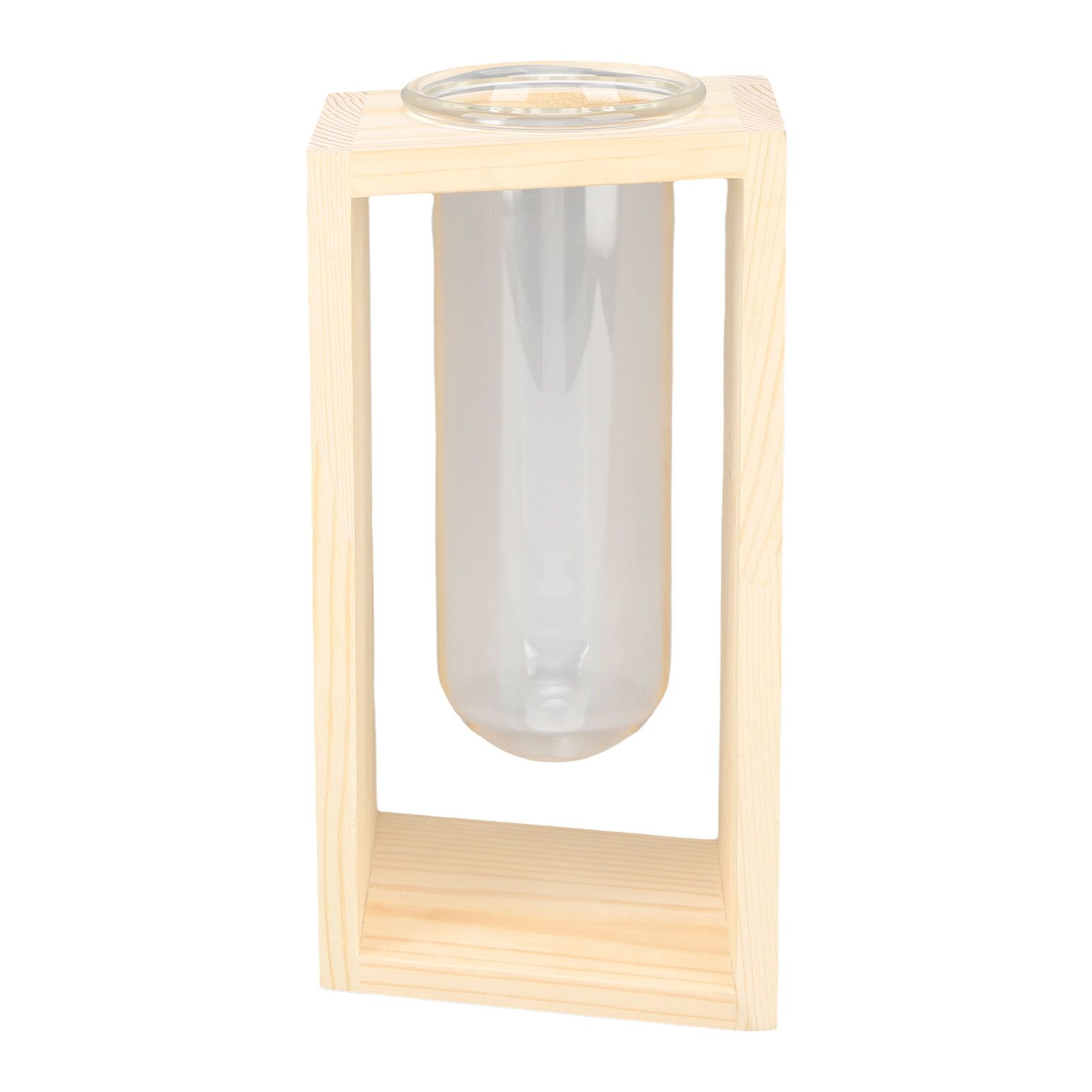 Glass Test Tube Plant Terrarium Multipurpose Innovative Hand Crafted Desktop