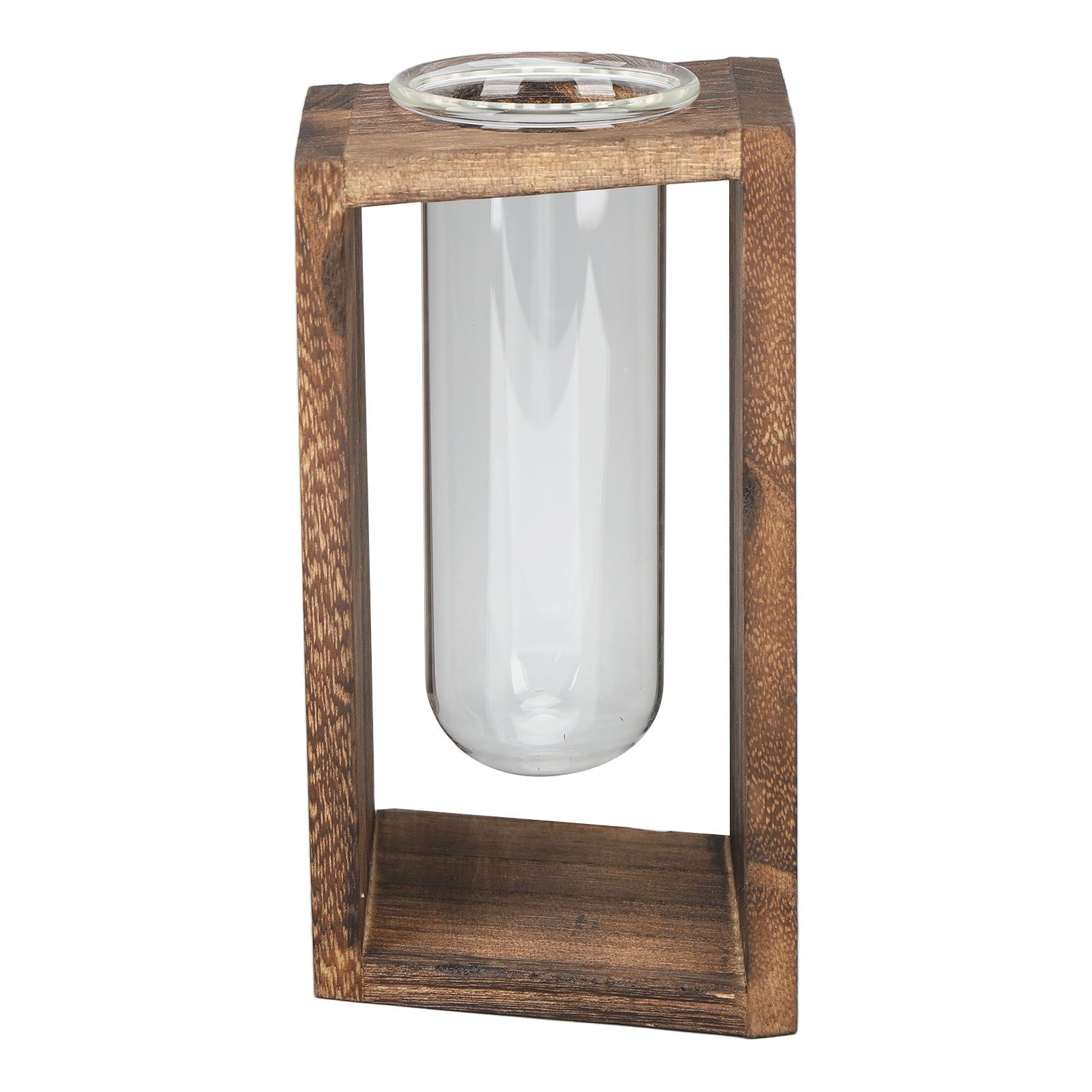 Glass Test Tube Plant Terrarium Multipurpose Innovative Hand Crafted Desktop