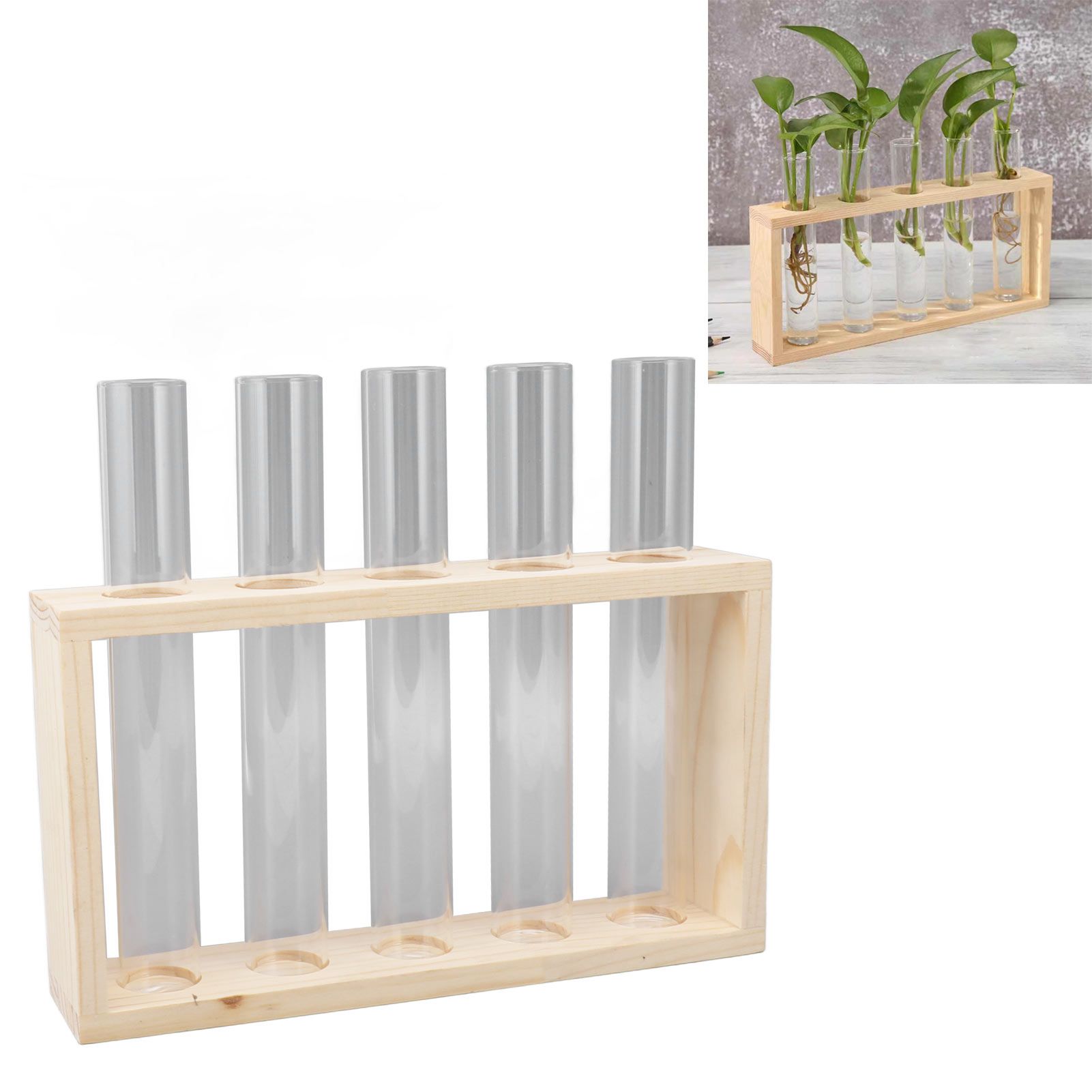 5 Test Tube Plant Terrarium Transparent Observe Growth Status Water Plant view 11