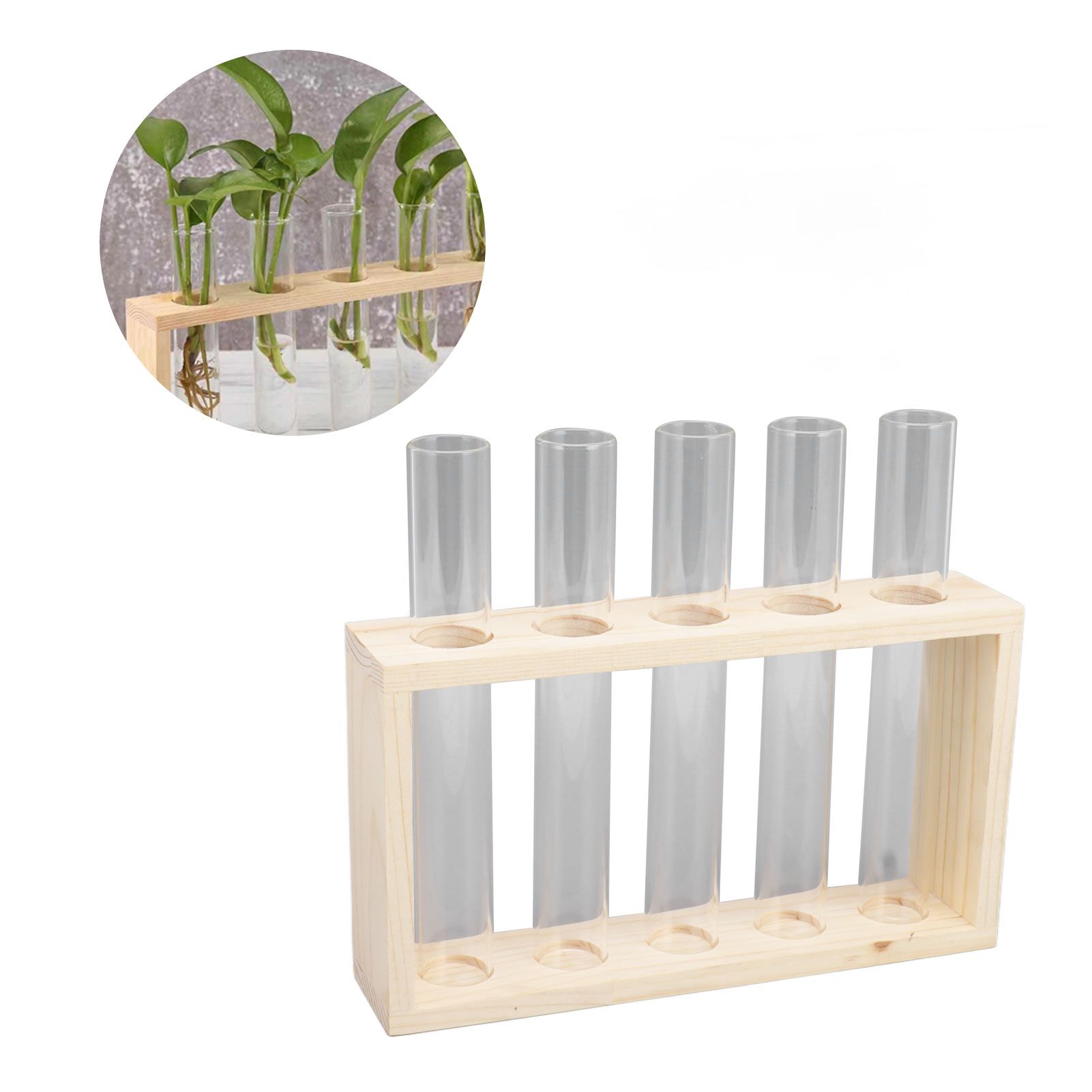 5 Test Tube Plant Terrarium Transparent Observe Growth Status Water Plant view 12