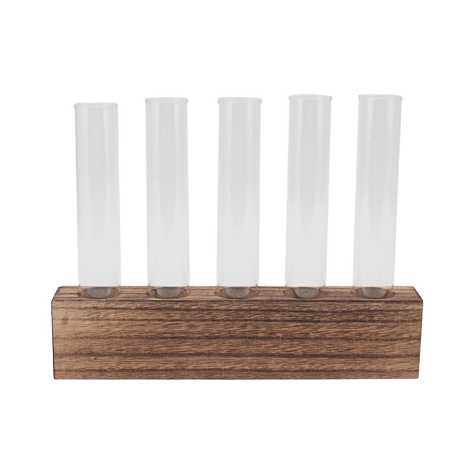 Glass Plant Propagation Station Plant Propagation Tubes Desktop Plant view 2
