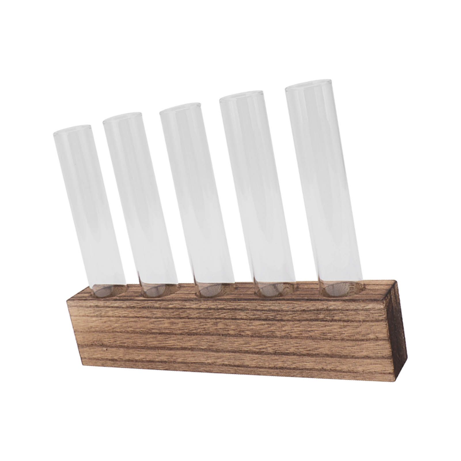 Glass Plant Propagation Station Plant Propagation Tubes Desktop Plant view 3