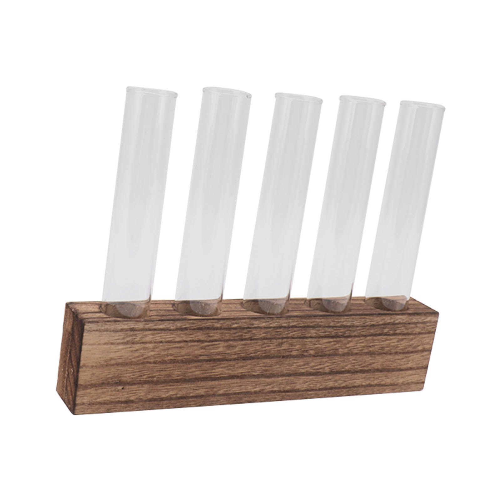 Glass Plant Propagation Station Plant Propagation Tubes Desktop Plant view 7