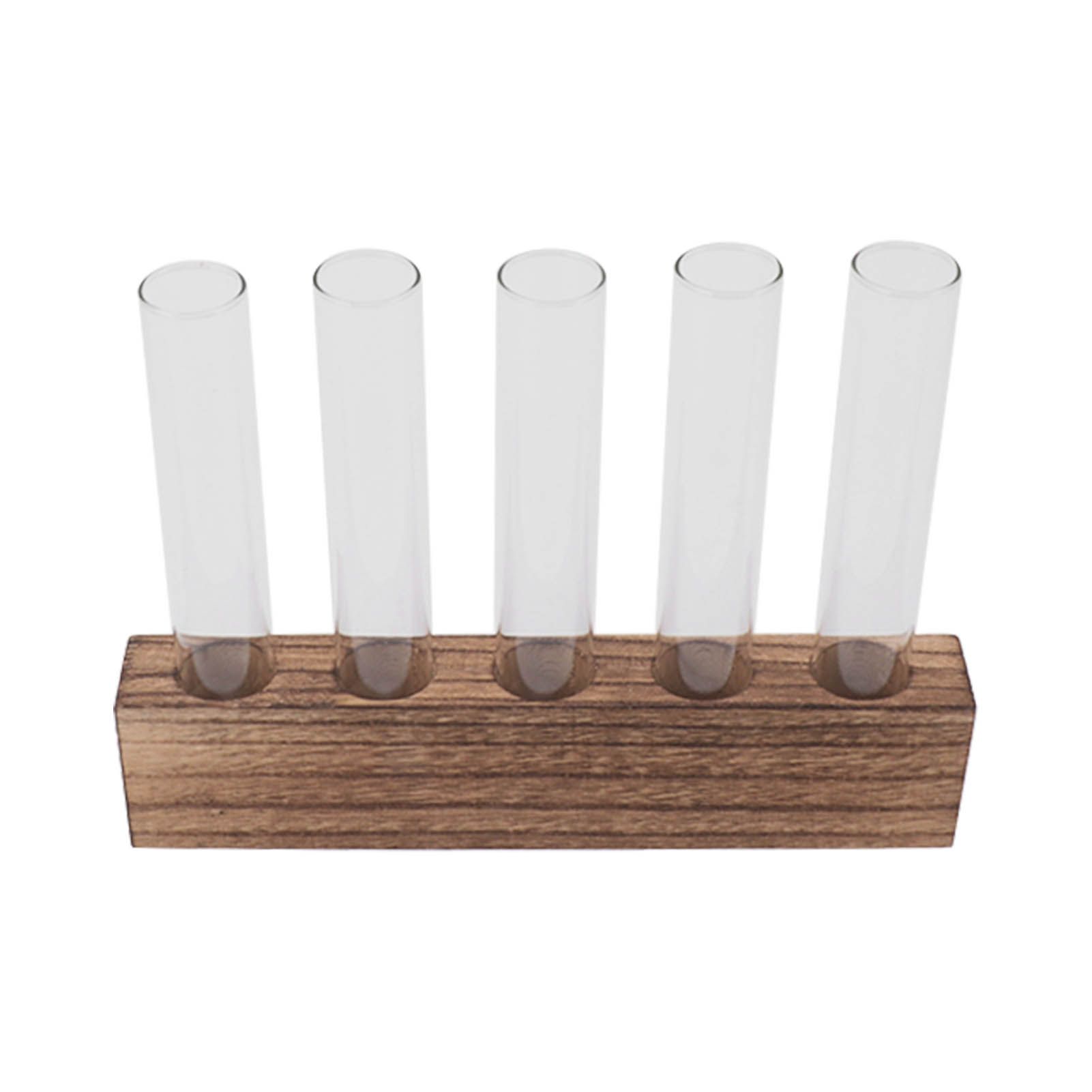 Glass Plant Propagation Station Plant Propagation Tubes Desktop Plant view 10