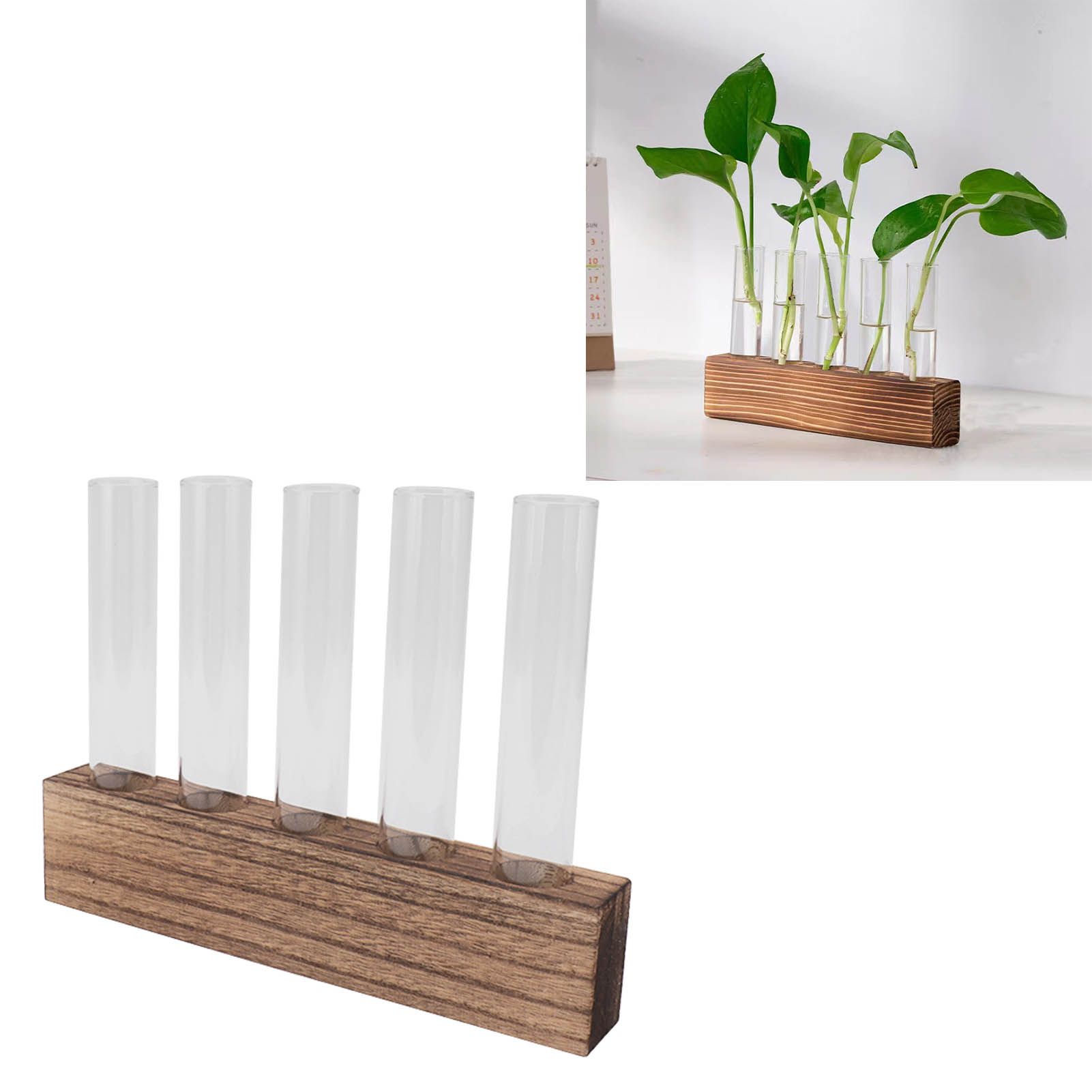 Glass Plant Propagation Station Plant Propagation Tubes Desktop Plant view 11