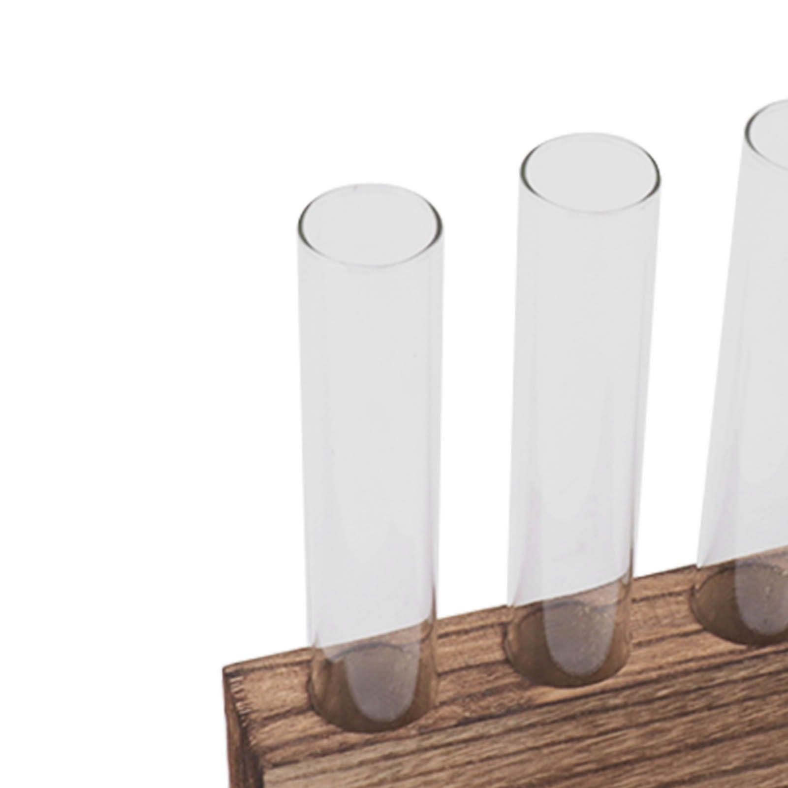 Glass Plant Propagation Station Plant Propagation Tubes Desktop Plant view 13