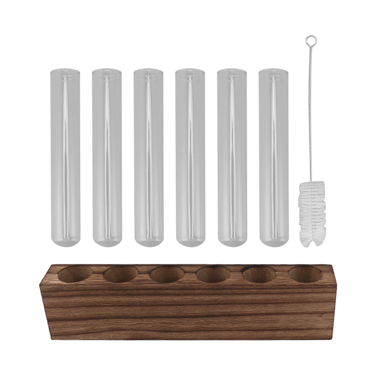 Glass Plant Propagation Station Plant Propagation Tubes Desktop Plant