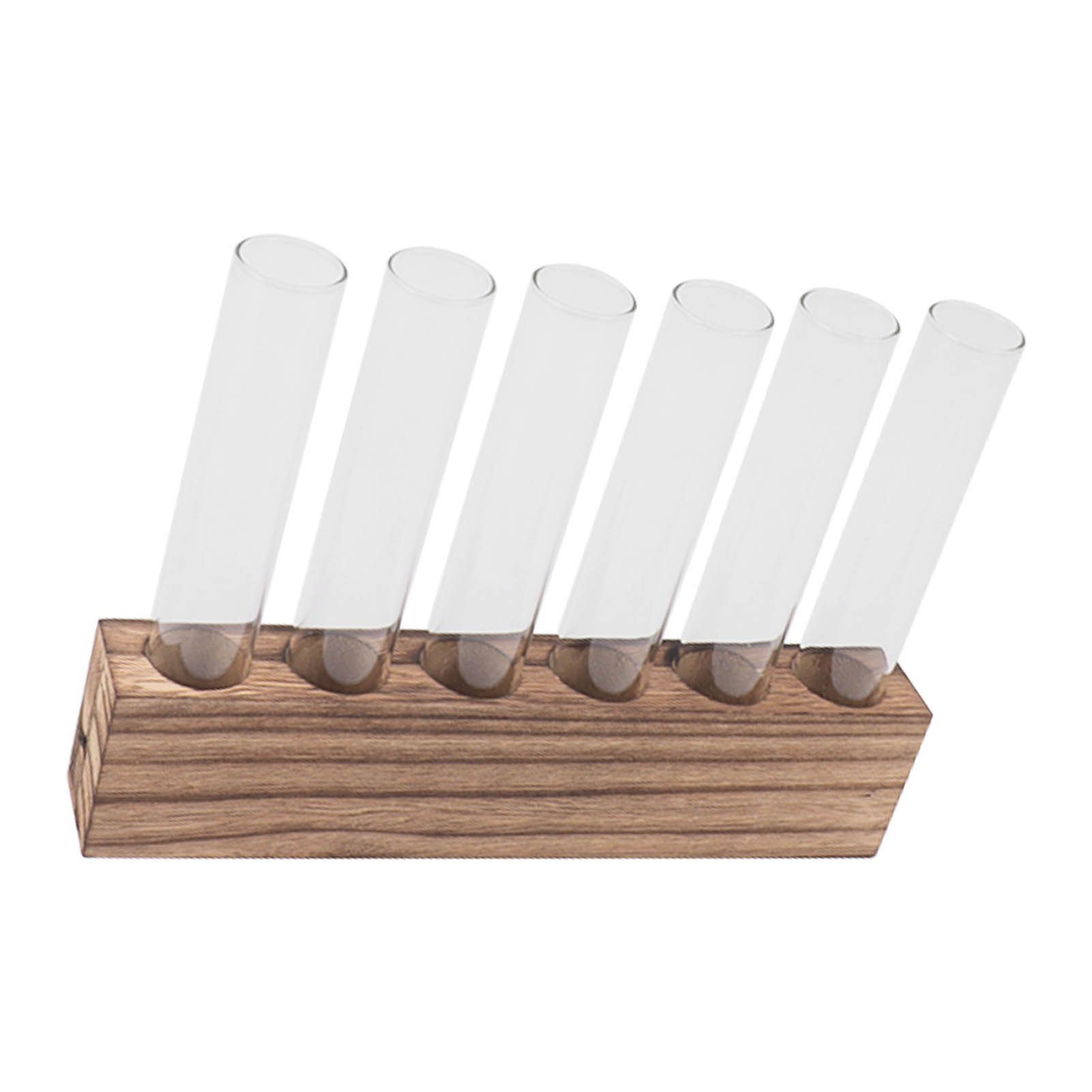 Glass Plant Propagation Station Plant Propagation Tubes Desktop Plant view 4