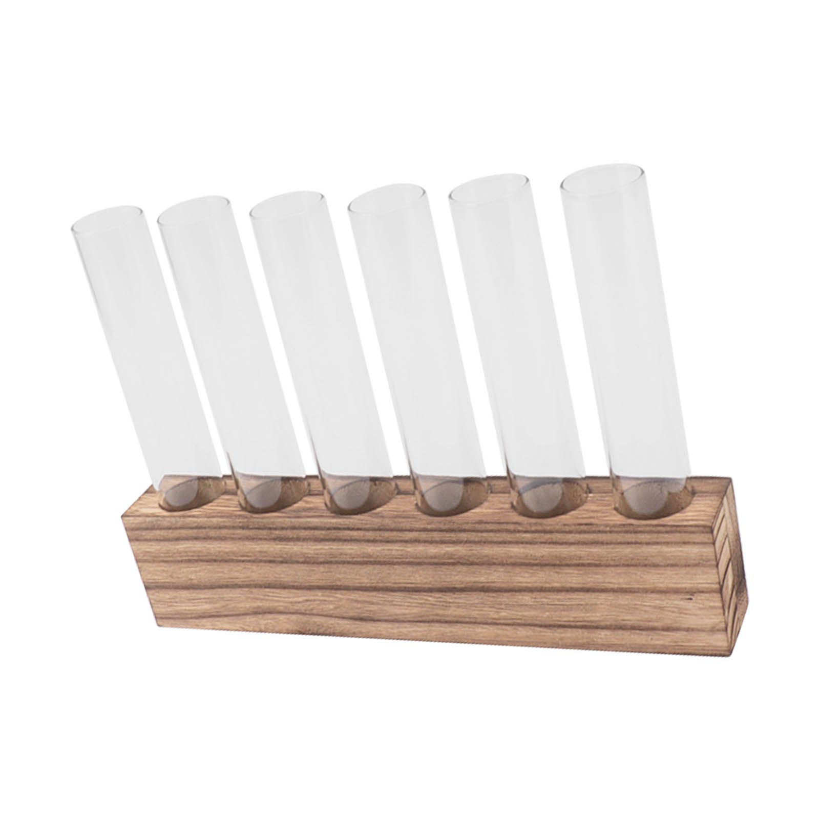 Glass Plant Propagation Station Plant Propagation Tubes Desktop Plant view 5