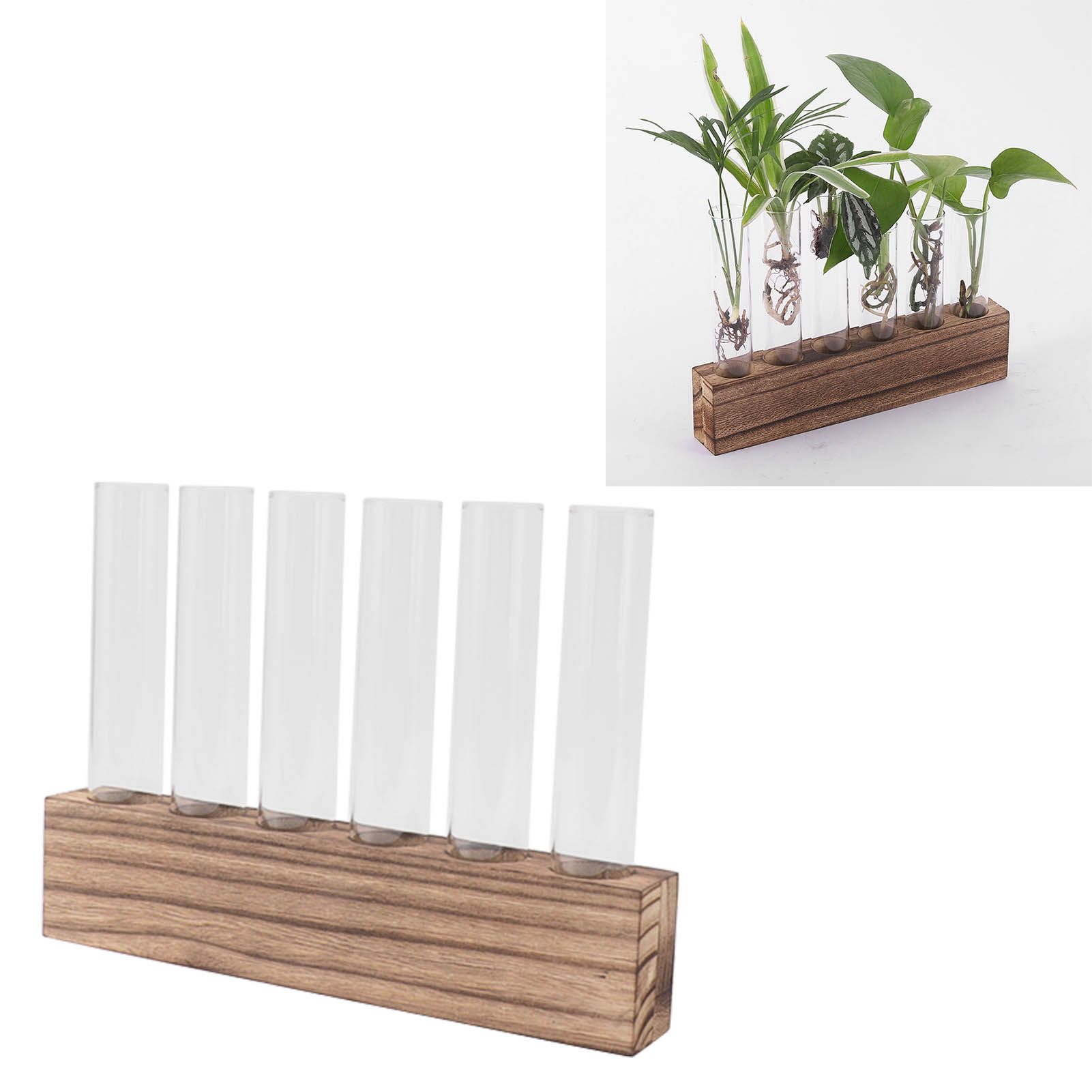 Glass Plant Propagation Station Plant Propagation Tubes Desktop Plant view 11