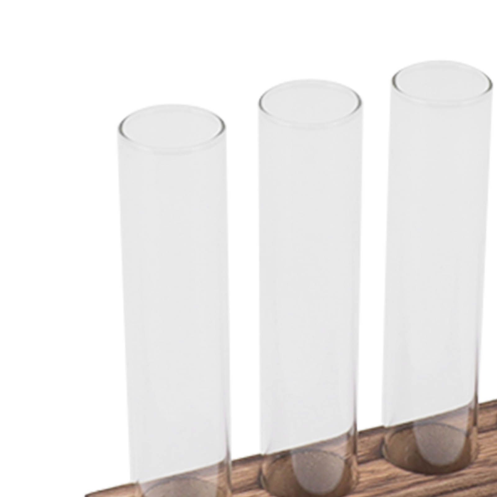 Glass Plant Propagation Station Plant Propagation Tubes Desktop Plant view 13