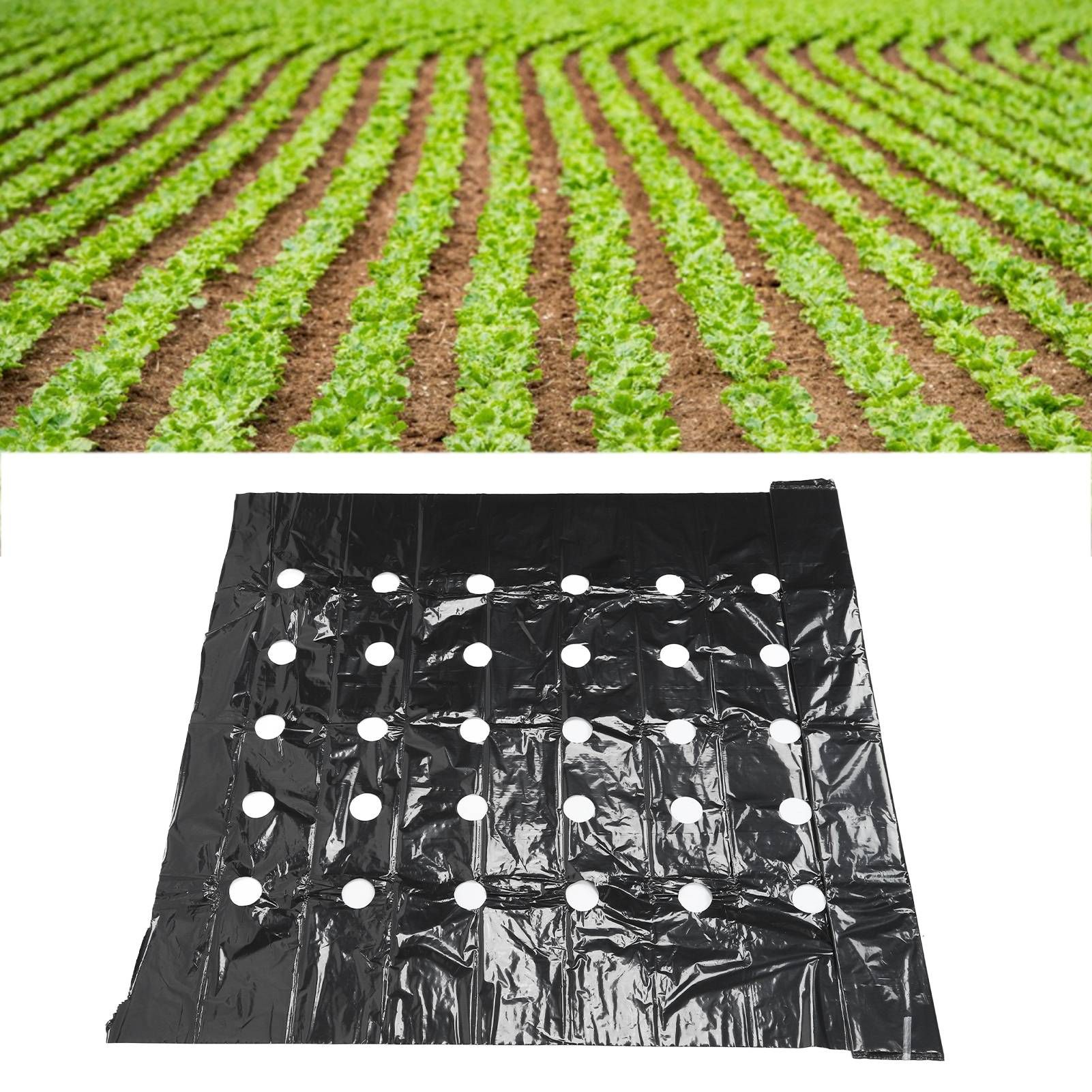 Greenhouse Perforated Mulch High Tenacity Black Durable Perforated PE Mulch view 11