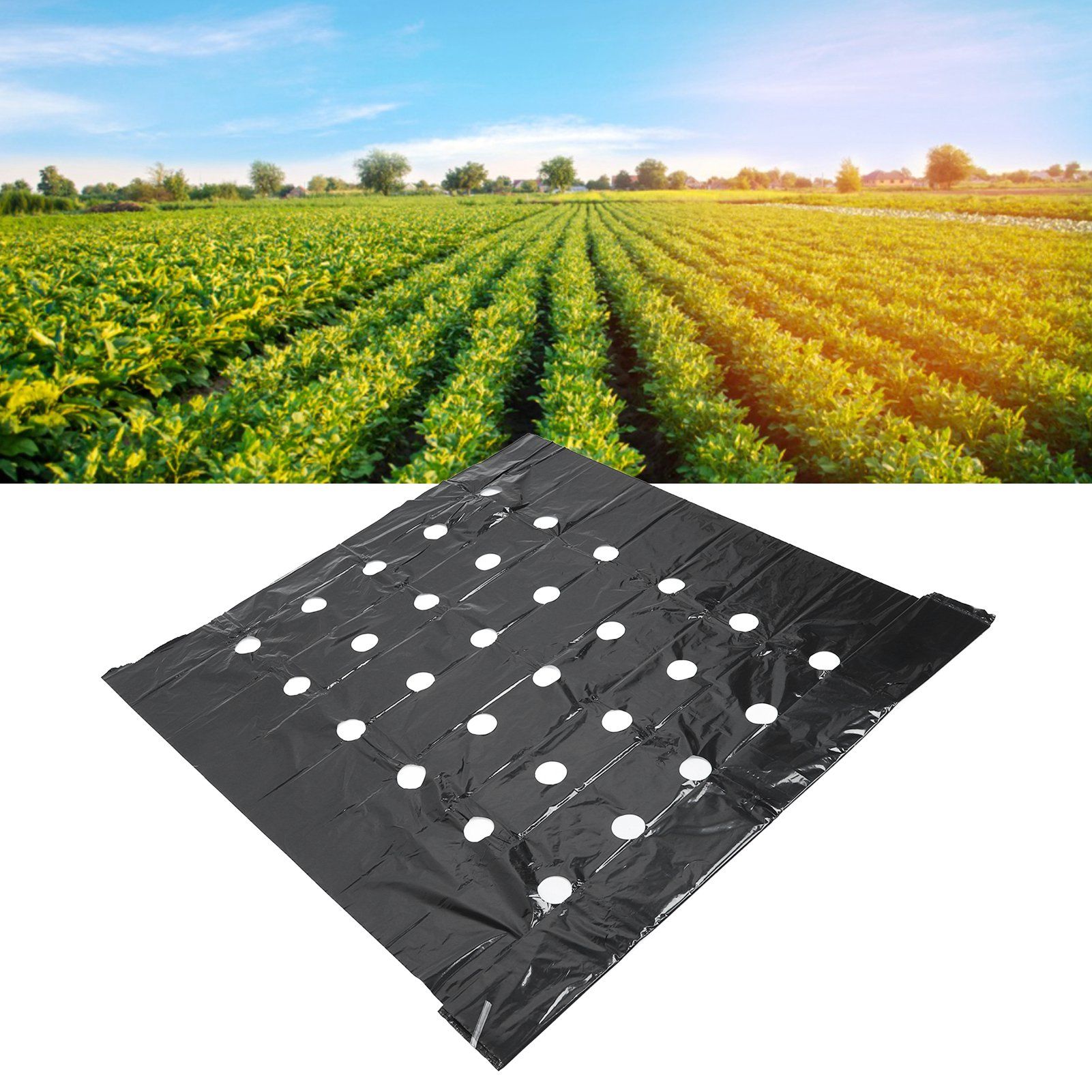 Greenhouse Perforated Mulch High Tenacity Black Durable Perforated PE Mulch view 12