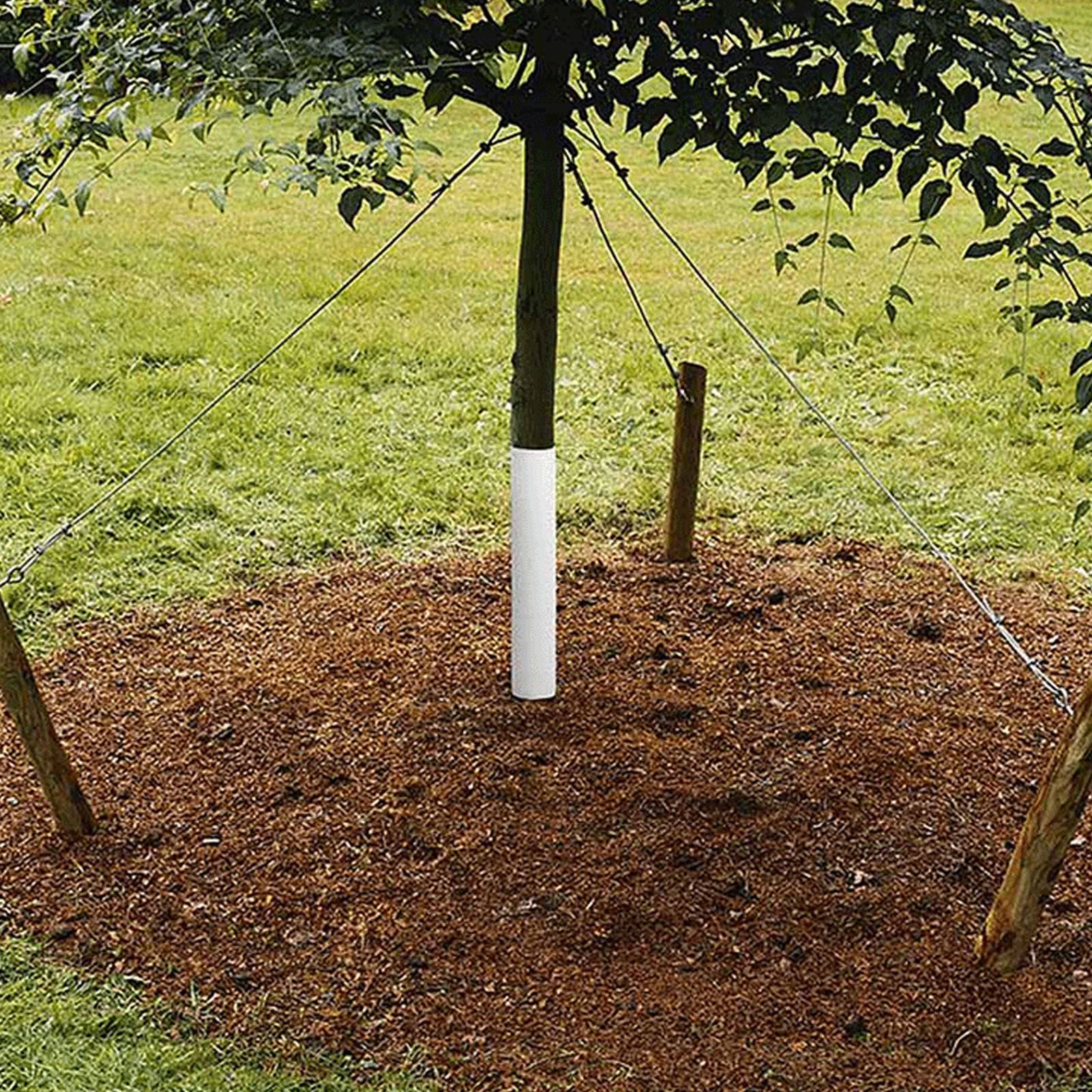 Tree Trunk Protector Plastic Tree Bark Protector Wrap Grow Tubes to Protect view 12