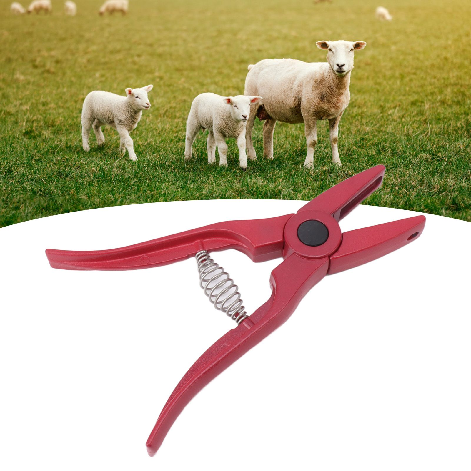 Livestock Ear Tag Pliers Ergonomic Anti Slip Handle Effort Saving Ear Tag view 11
