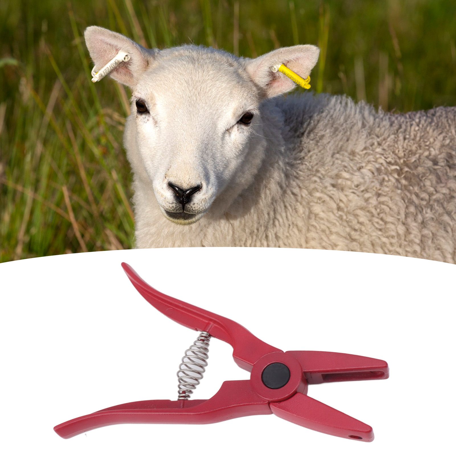 Livestock Ear Tag Pliers Ergonomic Anti Slip Handle Effort Saving Ear Tag view 12