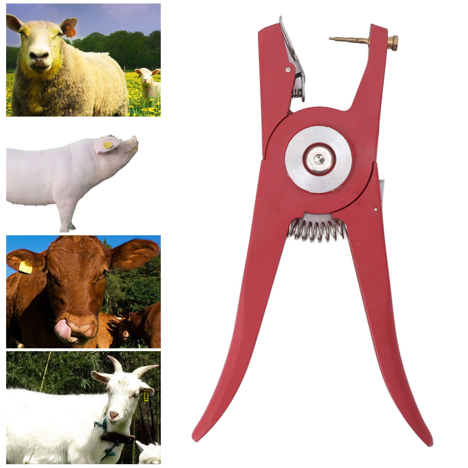 Metal Alloy Livestock Ear Tag Pliers Universal Livestock Ear Tag Applicator view 12
