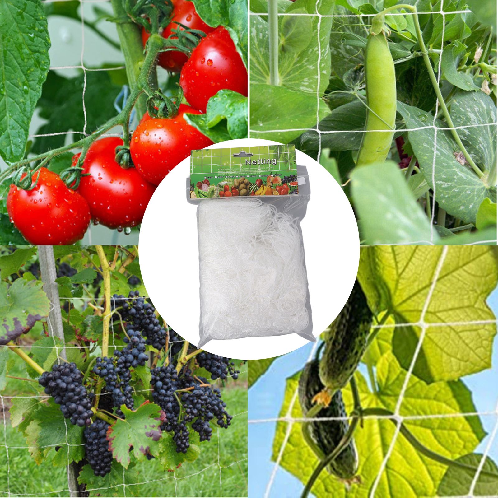 White Garden Plant Trellis Polyester Netting Fruits Vegetables Plants Trellis view 11