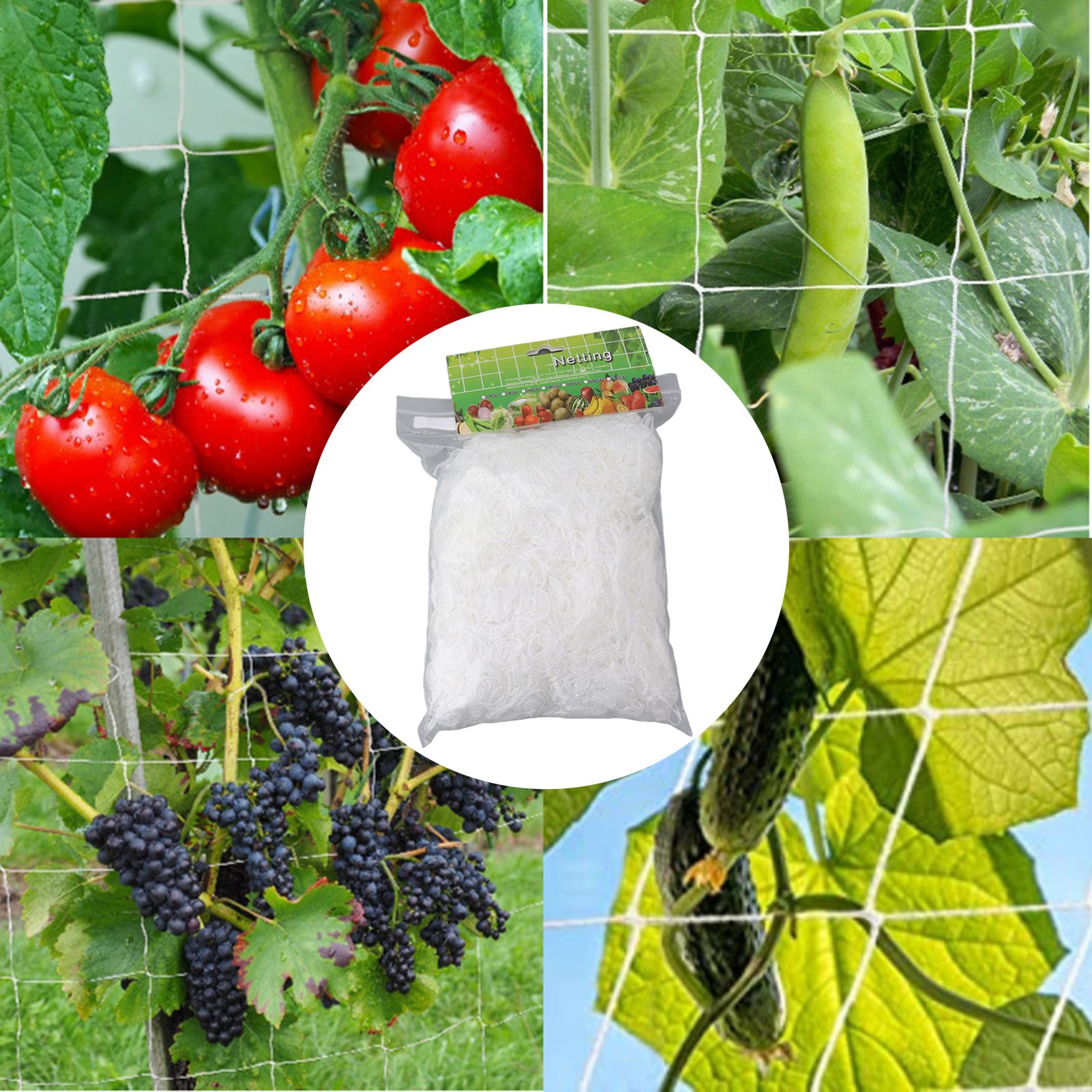 White Garden Plant Trellis Polyester Netting Fruits Vegetables Plants Trellis view 11