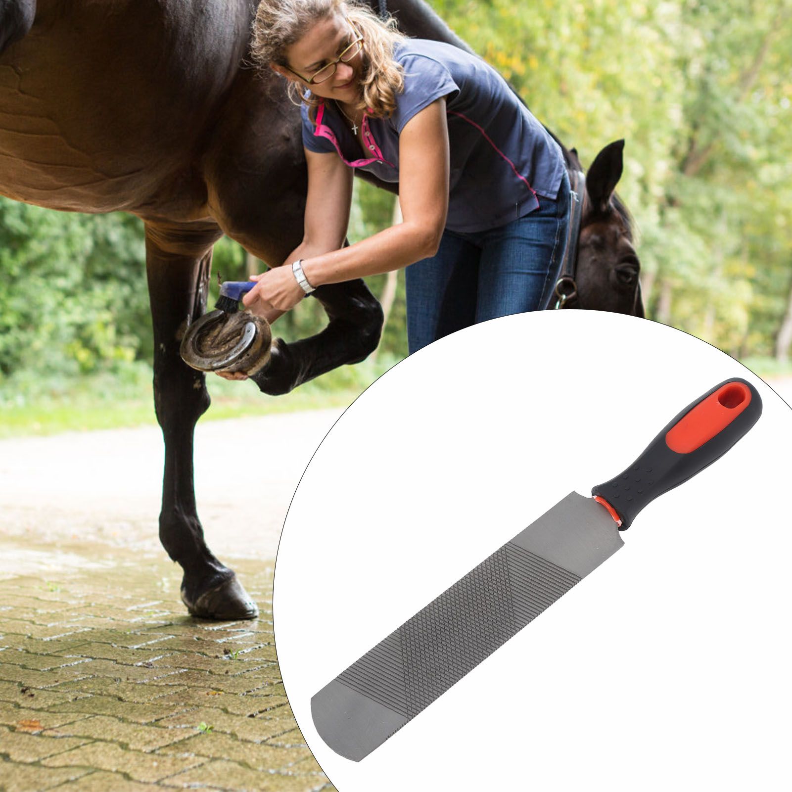 8 Inch Hoof Rasp Carbon Steel Ergonomic Horseshoe File Horseshoe Trimming Tool view 11