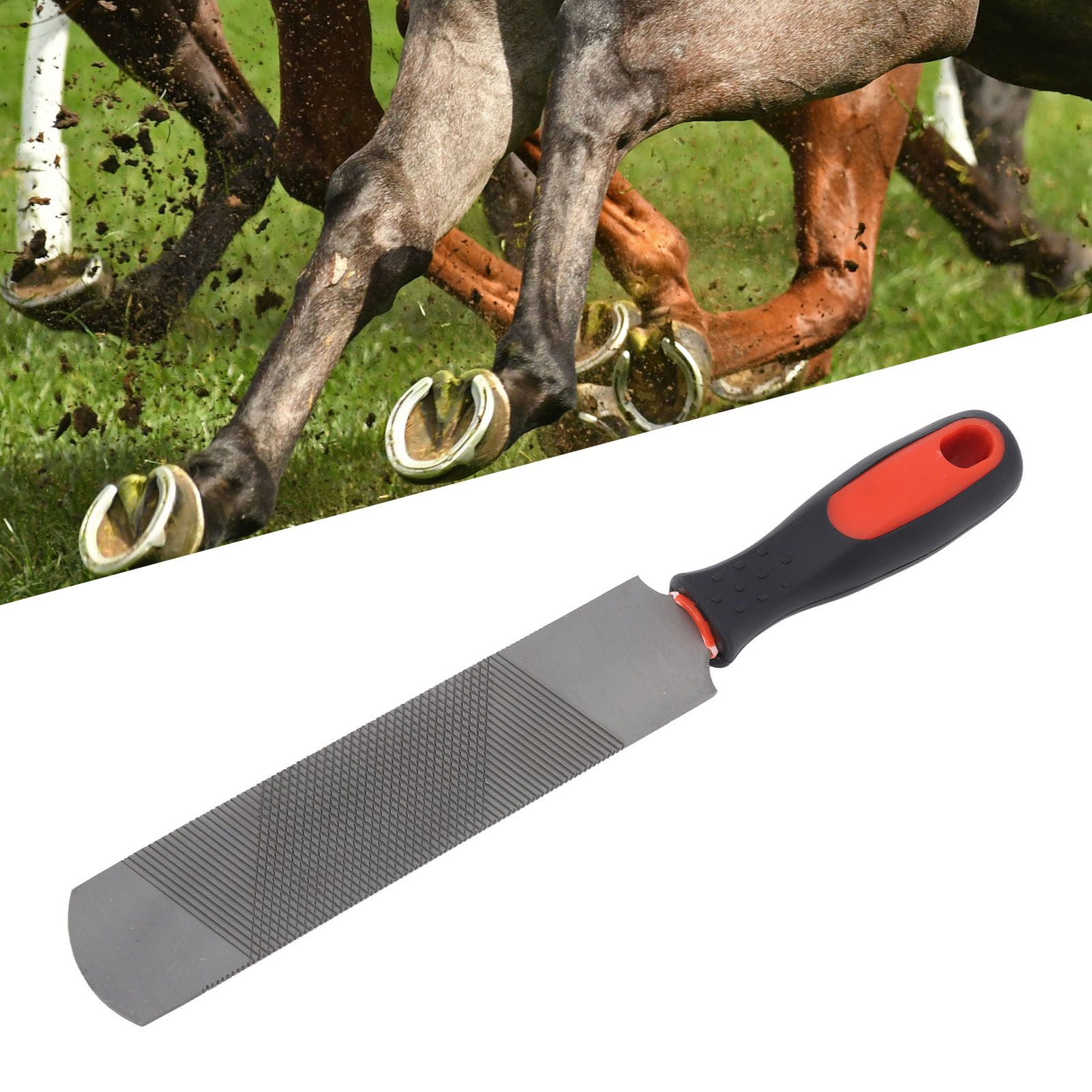 8 Inch Hoof Rasp Carbon Steel Ergonomic Horseshoe File Horseshoe Trimming Tool view 12
