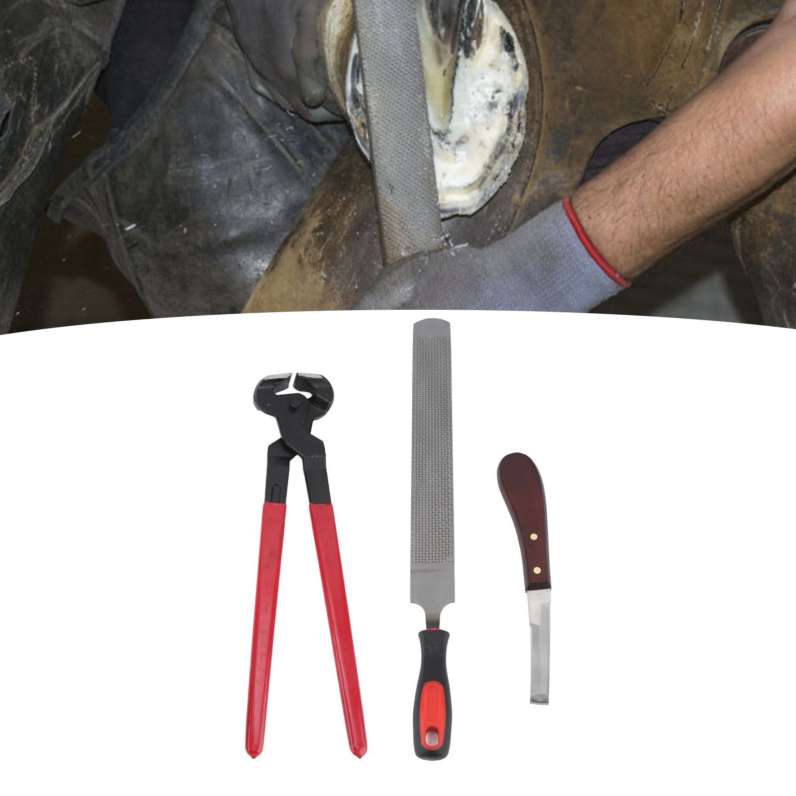 Hoof Repair Tool Kit Steel Double Sided File Hoof Trimmer Tool Kit for Horses view 11