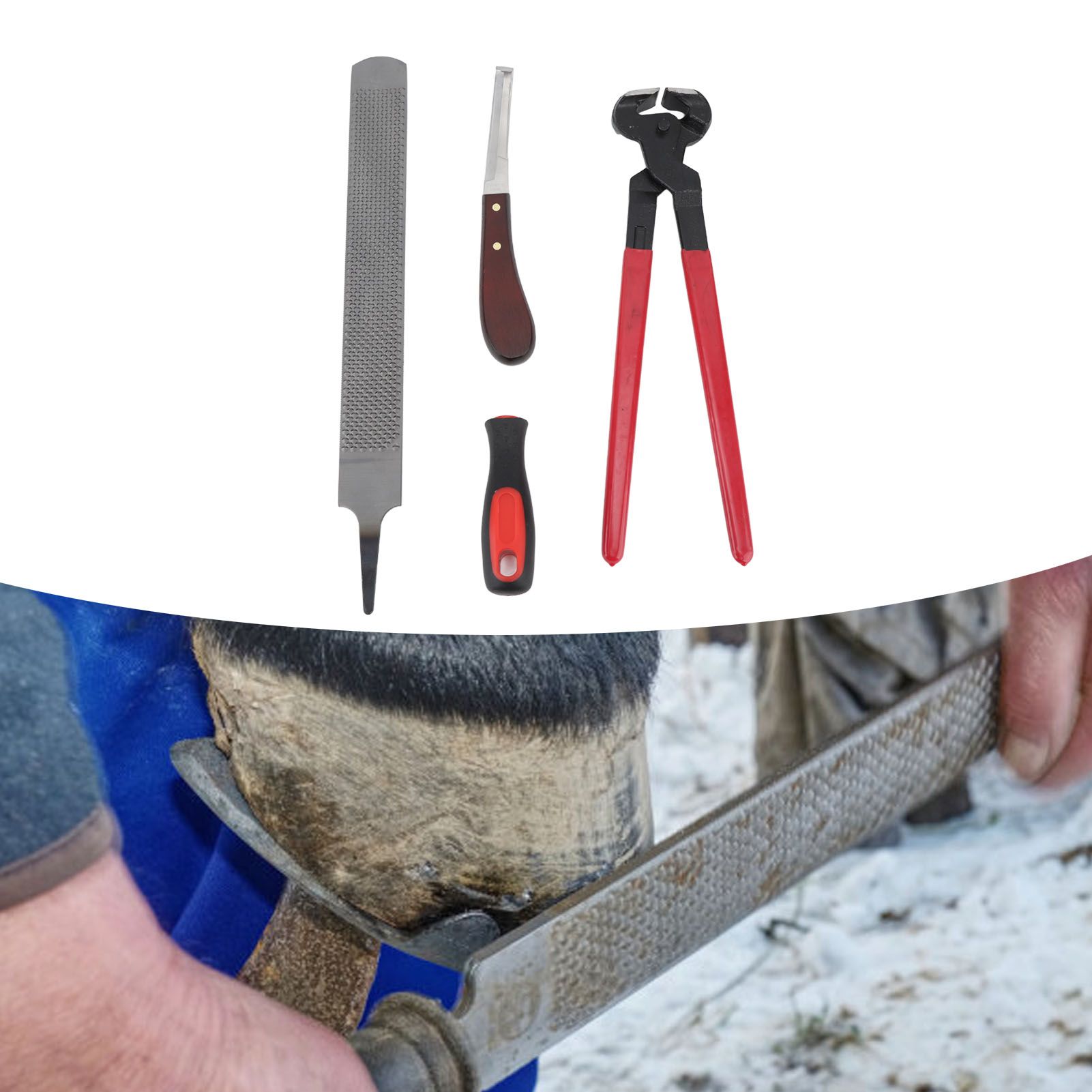 Hoof Repair Tool Kit Steel Double Sided File Hoof Trimmer Tool Kit for Horses view 12