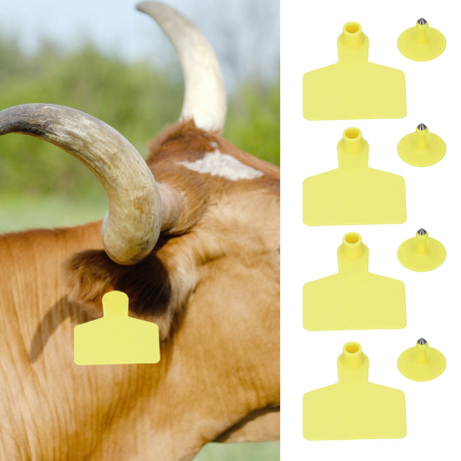100 Piece Blank Tags for Calves Blank Identification Ear Tag for Cattle Cows view 12